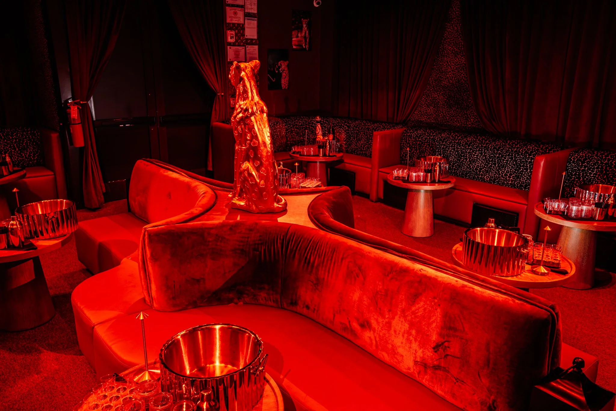 FELINA 23 April 2026 VENUE pics  (7).jpg