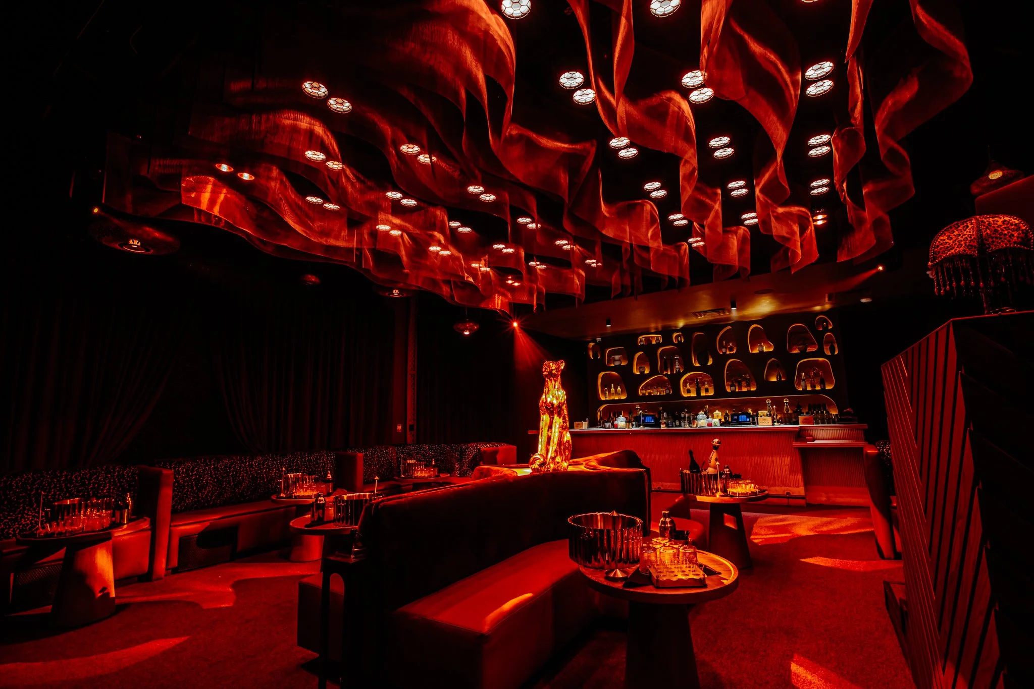 FELINA 23 April 2026 VENUE pics  (45).jpg