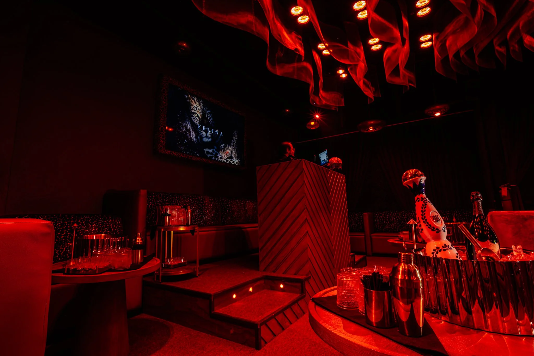 FELINA 23 April 2026 VENUE pics  (35).jpg