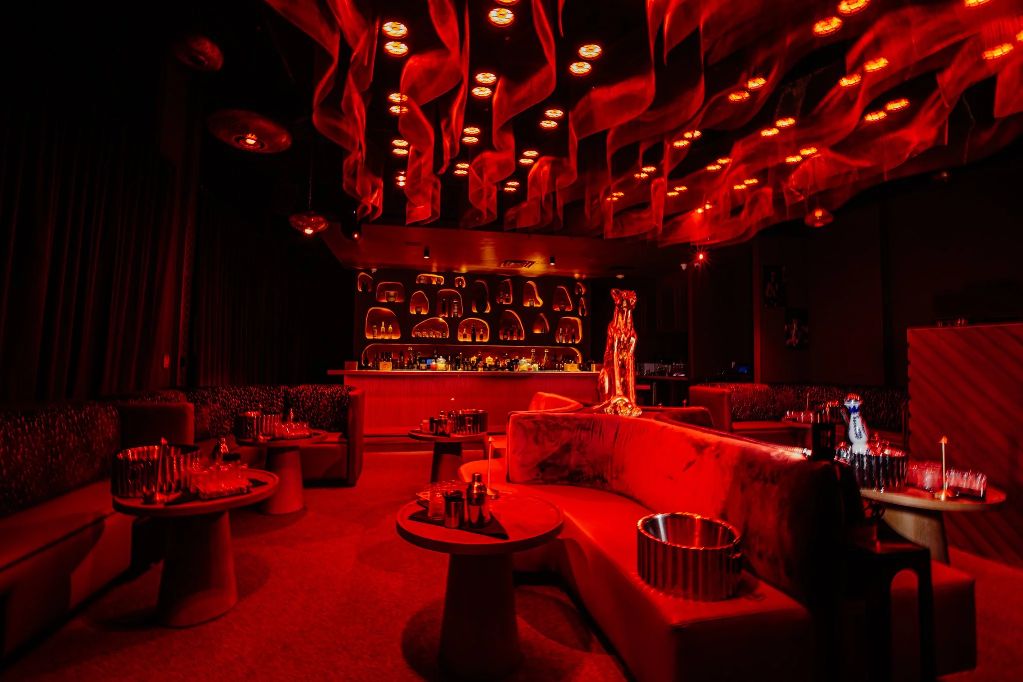 FELINA 23 April 2026 VENUE pics  (26).jpg