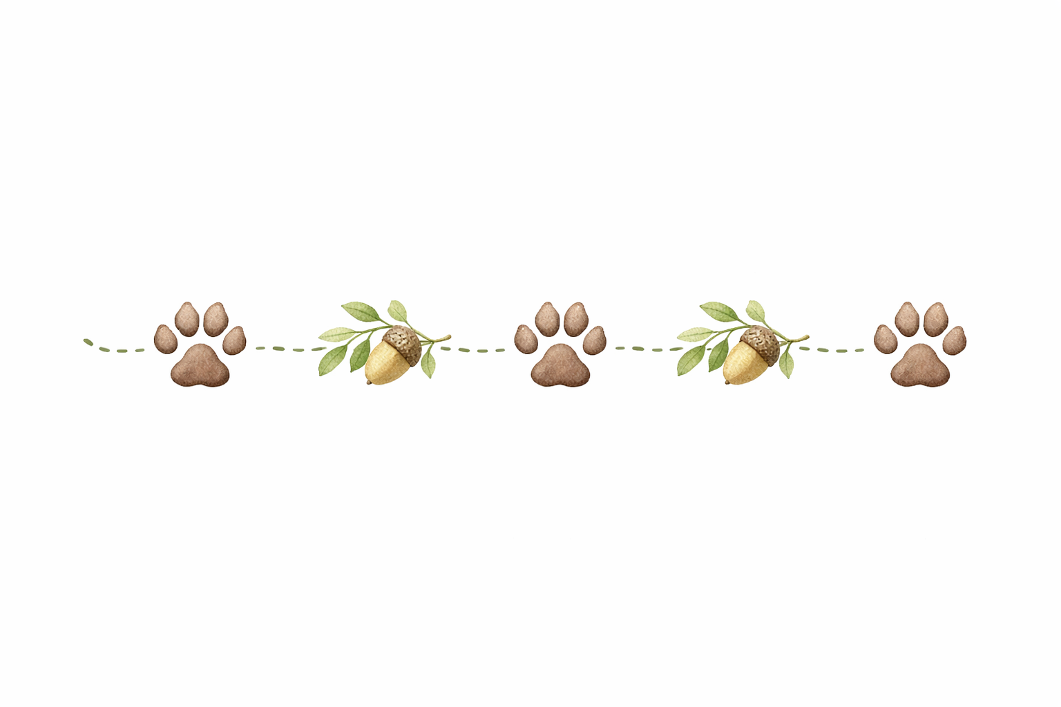 The Benevolent Wolf Pattern of panda paw prints and acorns with green leaves on a dotted line on a white background.