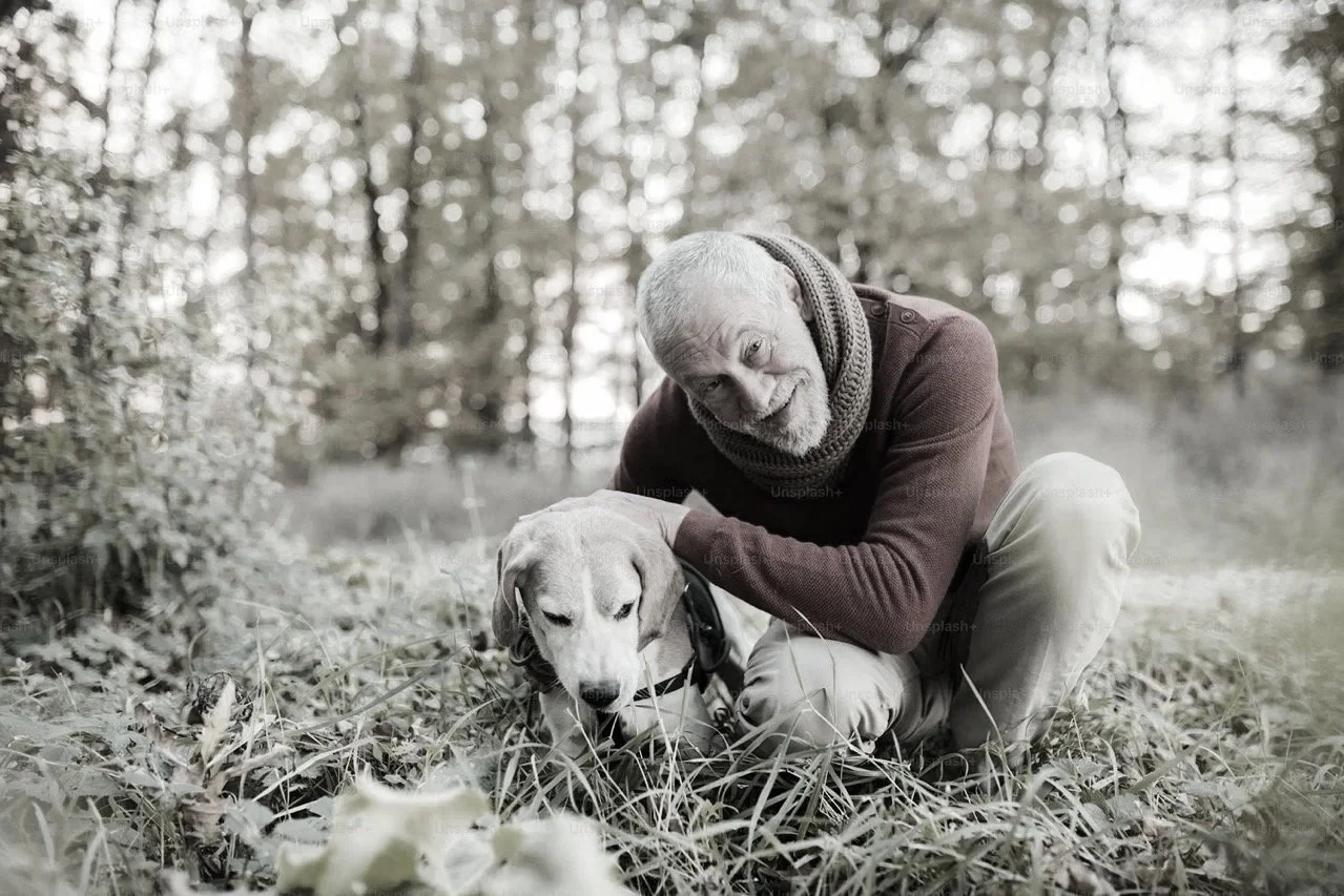 An elderly man with gray hair and beard in a brown sweater and scarf crouches in a grassy area outdoors, smiling as he gently holds a Labrador retriever dog lying on the grass. The background features blurred trees, creating a peaceful, natural setting.
