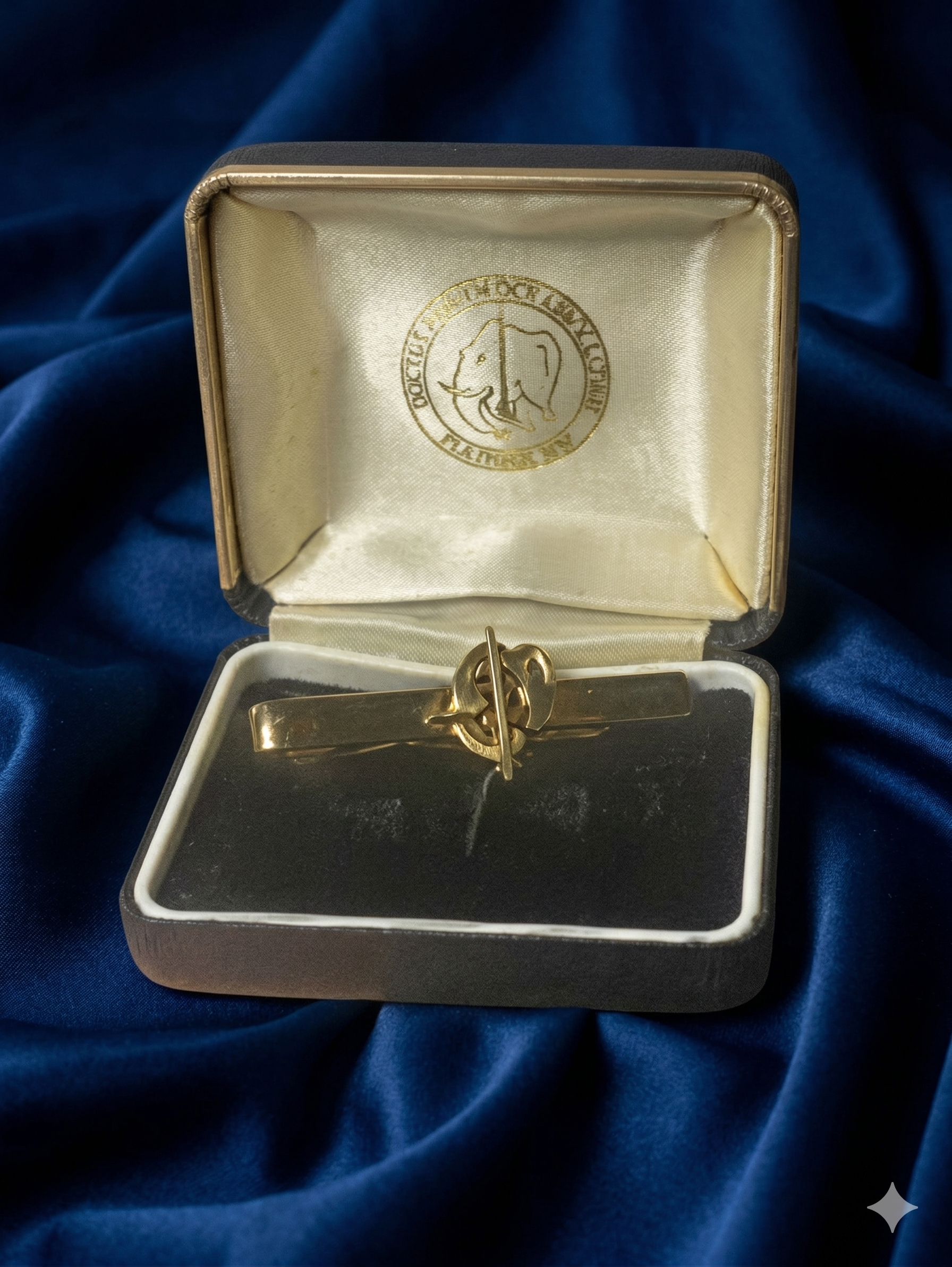 Vintage "Not Forgotten Association" Tie Slide - Original Royal Charity Box