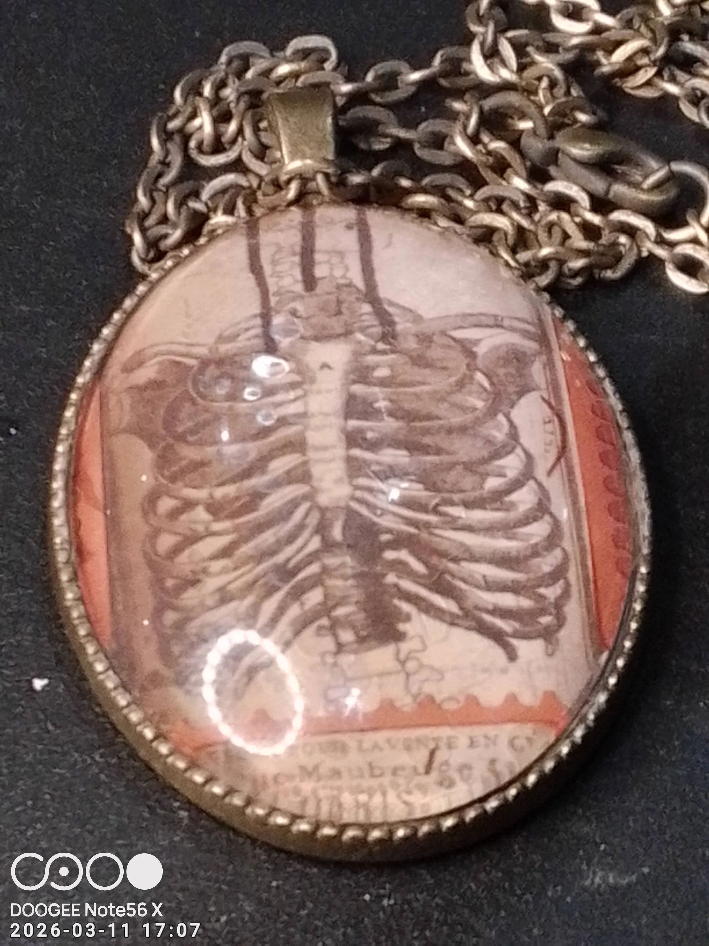 IMG_20260311_170719_HDR (1).jpg