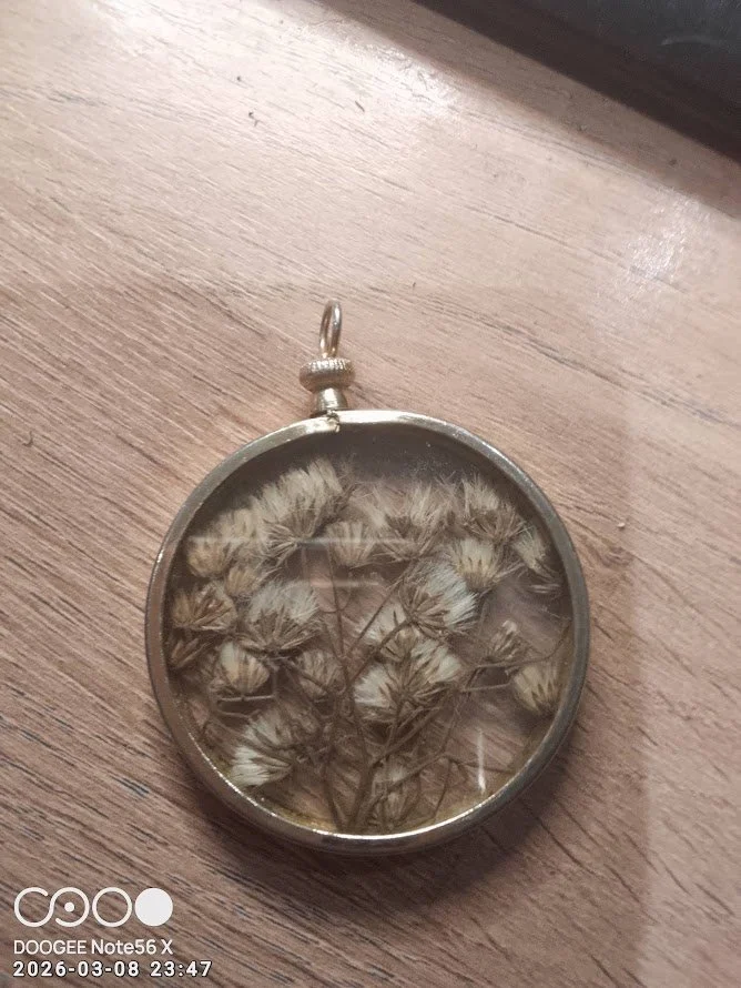 IMG_20260308_234704 (2).jpg