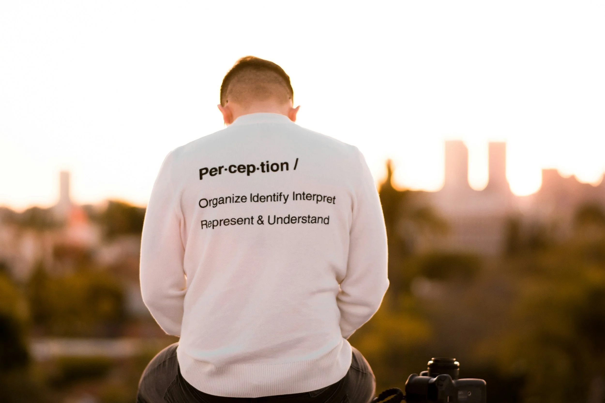Person sitting with their back to the camera, wearing a shirt that says the definition of the word "perception". Wellness, health, mental health, self-care, connection, therapy, holistic