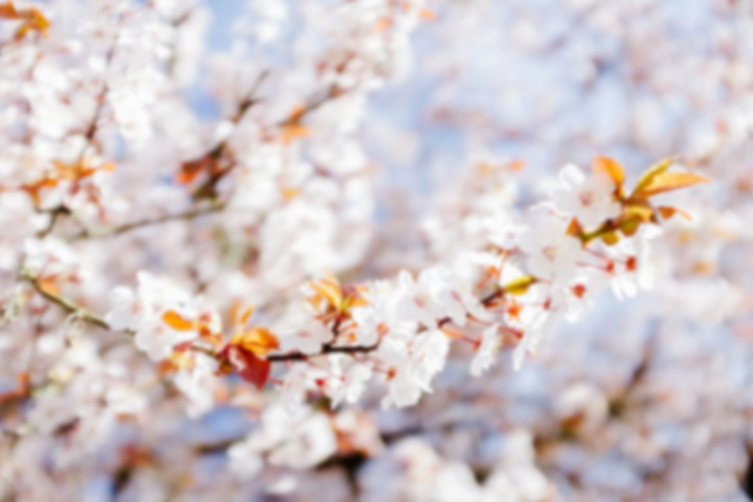 Start with a free consultation to see if this work is the right fit for you.