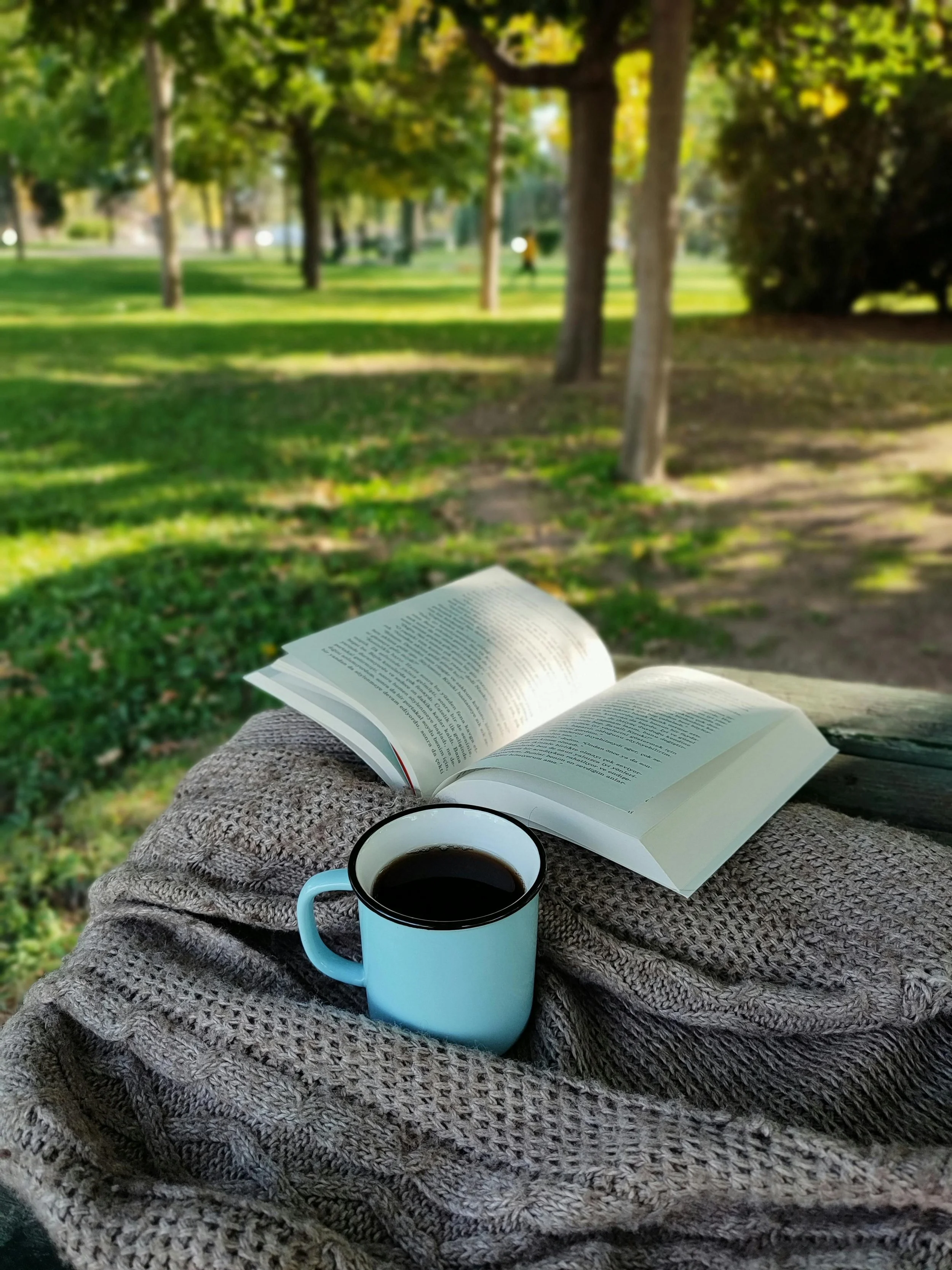 Mug of coffee and an open book sitting on top of a knit blanket in a grassy park. Wellness, health, mental health, self-care, connection, therapy, holistic