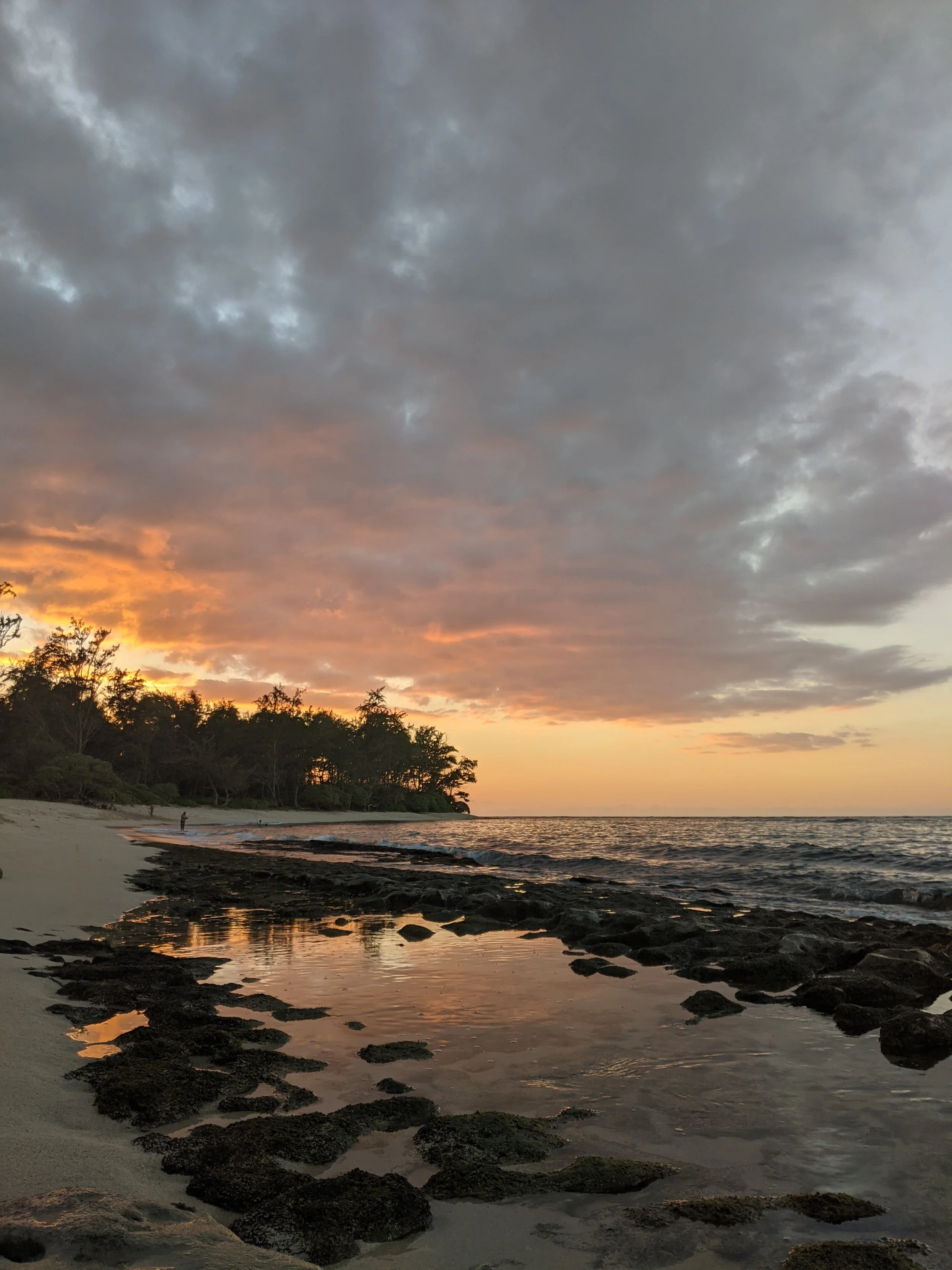 Individual Therapy Hour-Long Session