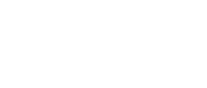 David J Weiner Foundation