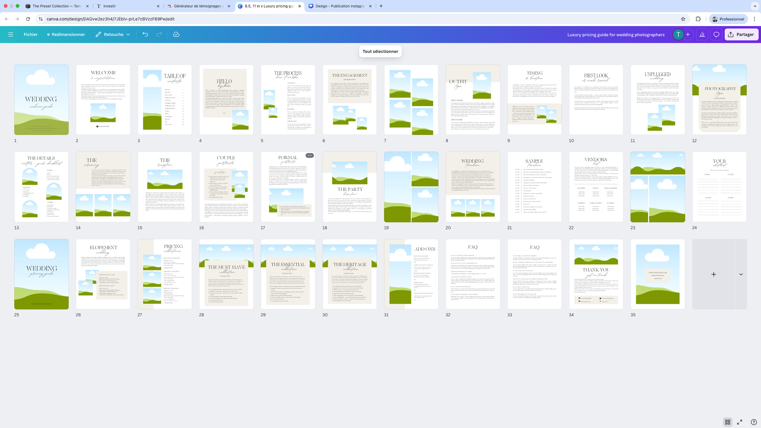 Aperçu d'une présentation PowerPoint pour un guide de mariage avec des pages illustrées de paysages verts et bleus, contenant des sections telles que la structure, le processus, et les conseils pour la planification.