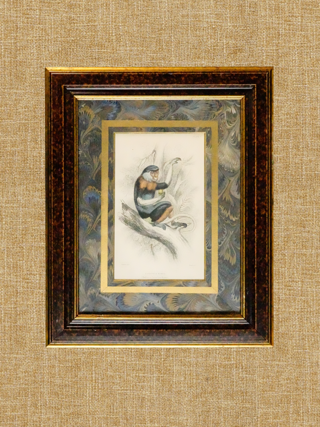 Copy of Untitled 4.PNG