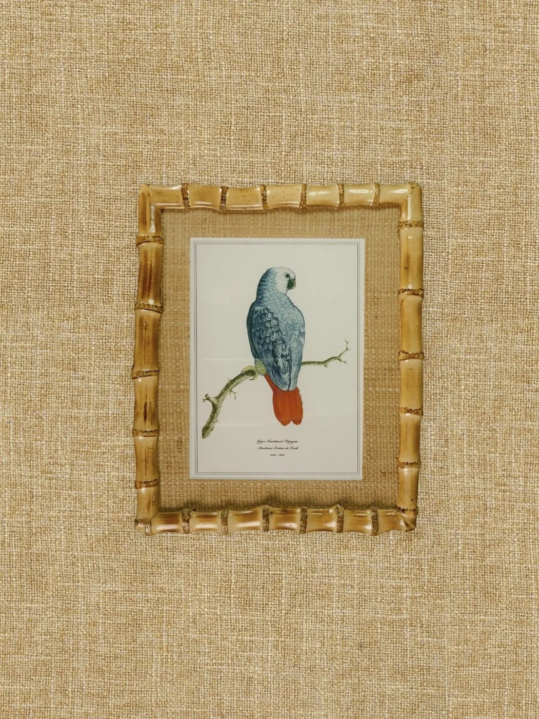 Copy of Copy of Untitled 5.jpg