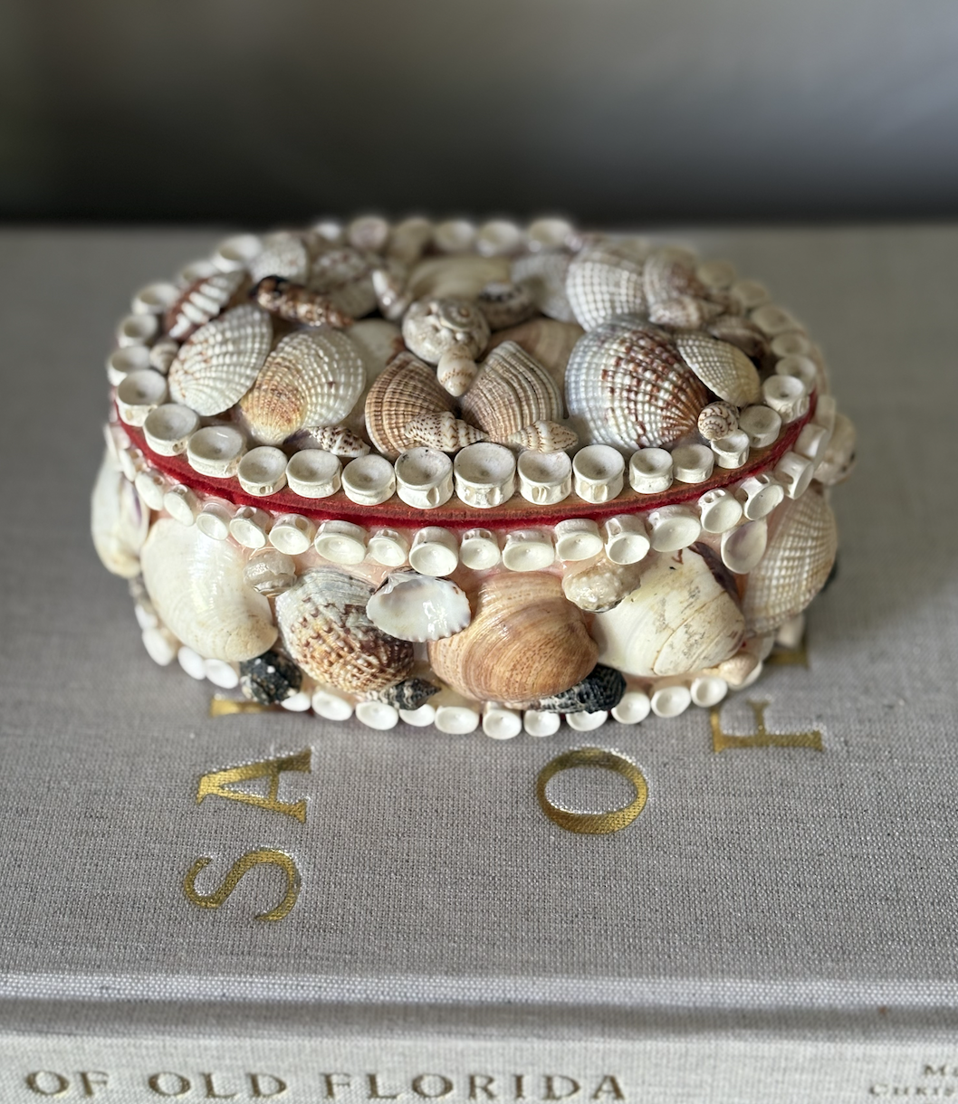 small shell box 2.png