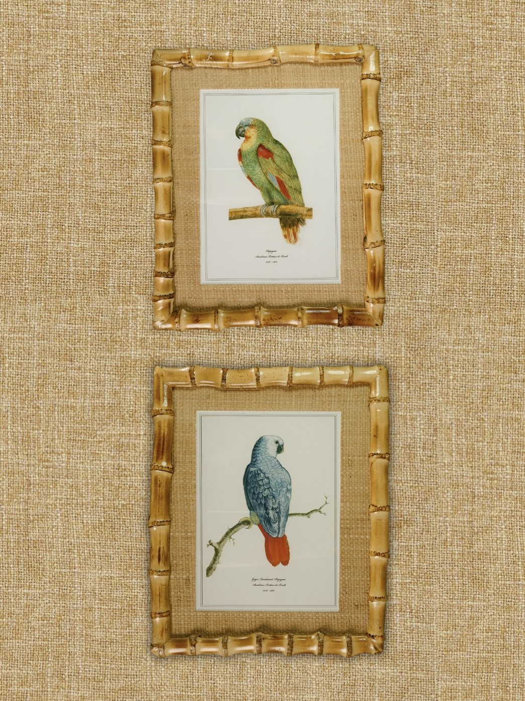 Copy of Untitled 2.jpg