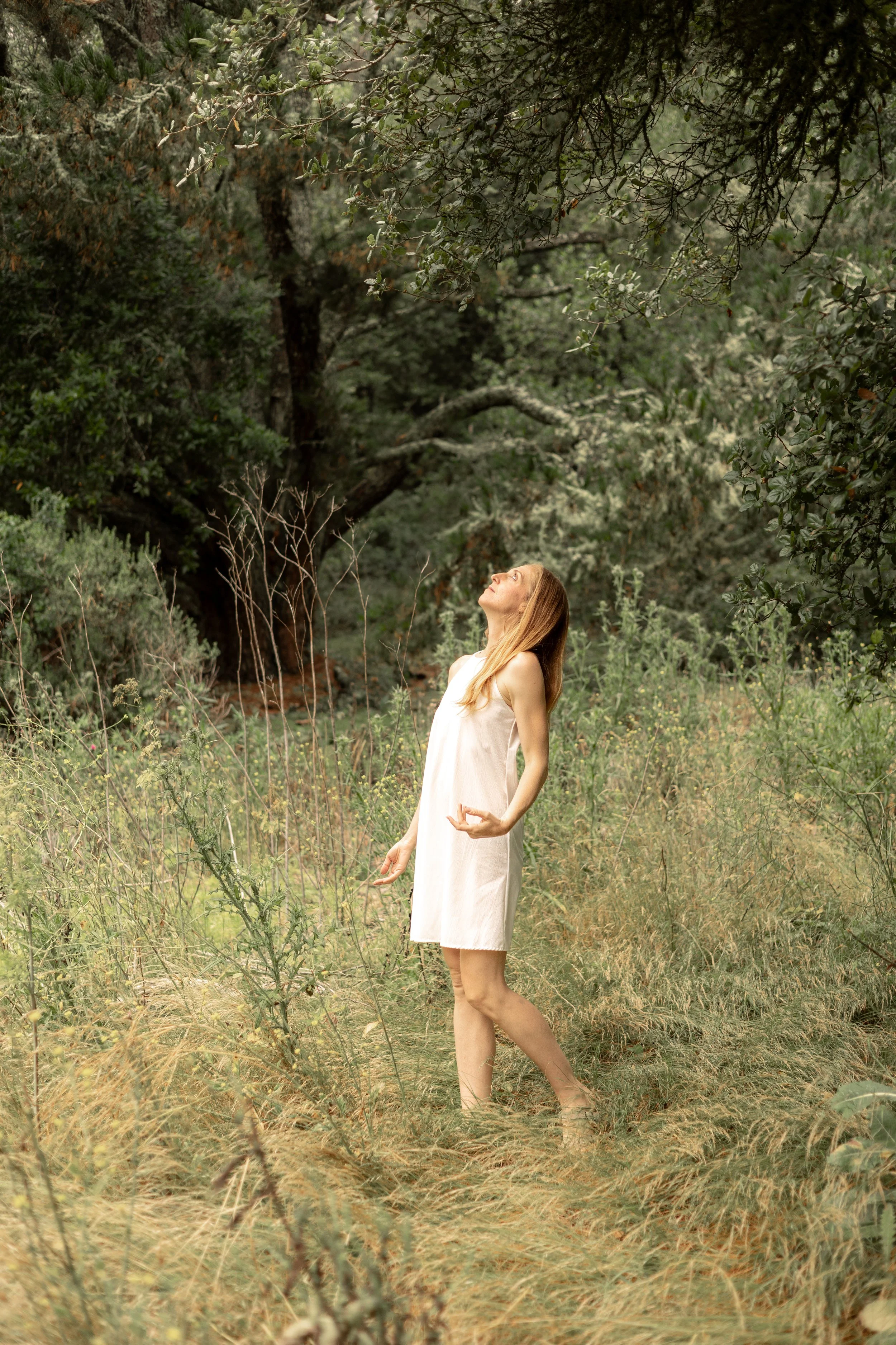 Woman in a white dress standing in a sunlit forest meadow, looking upward amid trees and tall grasses