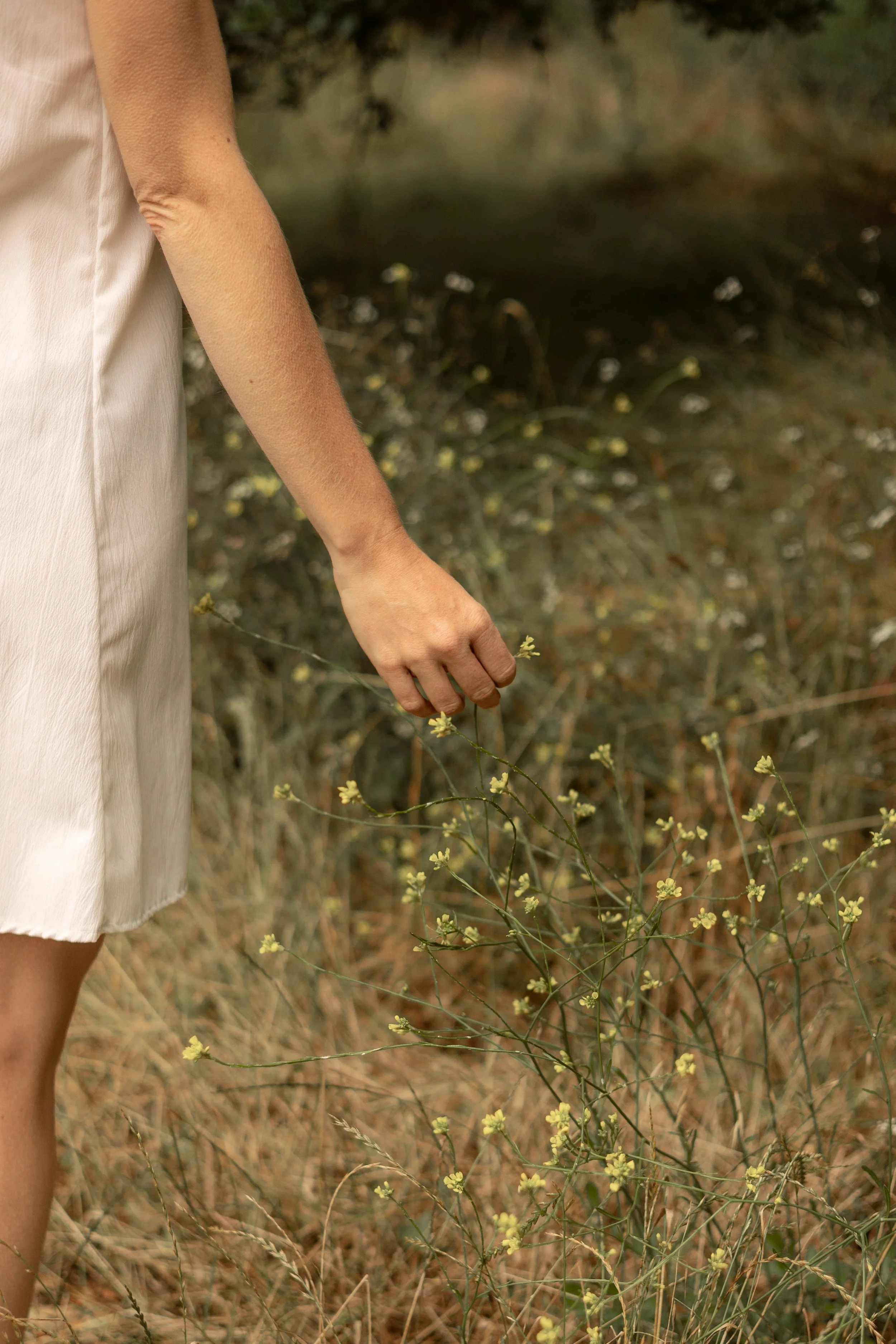 Close-up of a person in a white dress standing among dry grass and small yellow wildflowers.