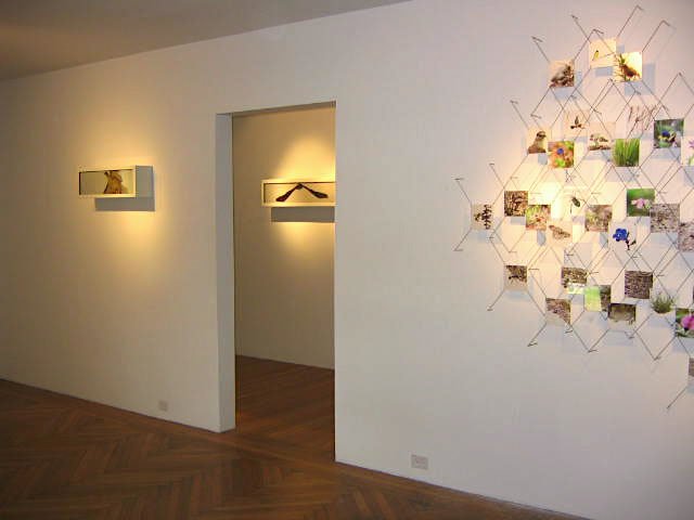 Rudolph Gallery, Houston, TX