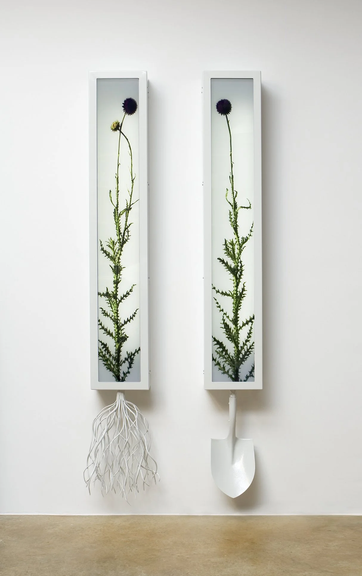 The Bones Sang Scattered and Shining | 84" x 12" x 11" (each) | duratrans prints, powder coated steel, Plexiglas, lights