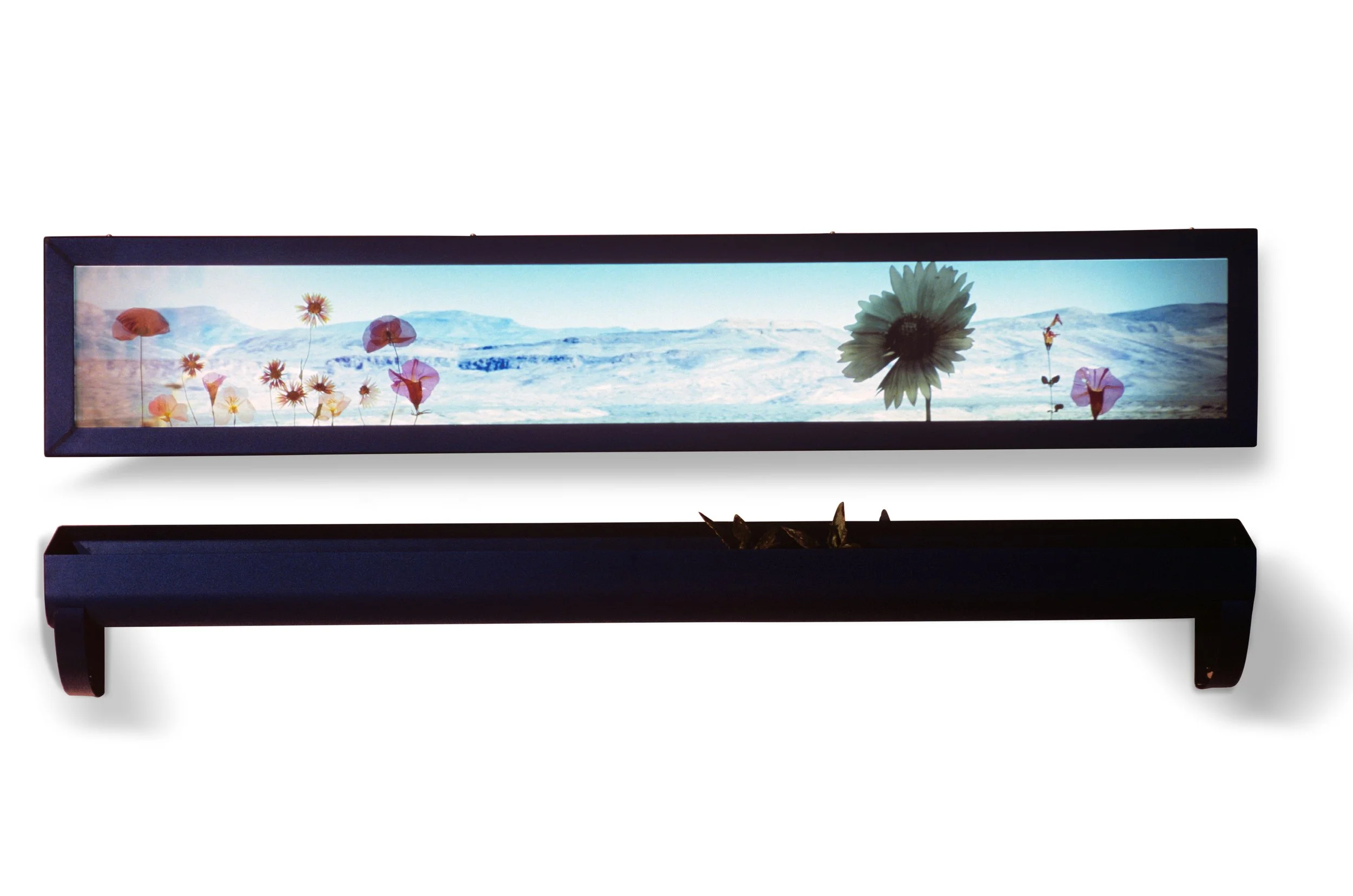 Pinto Canyon Road #4 | 22" x 60" x 11" | duratrans print, anodized aluminum, Plexiglas, bronze, water, dried pressed flowers