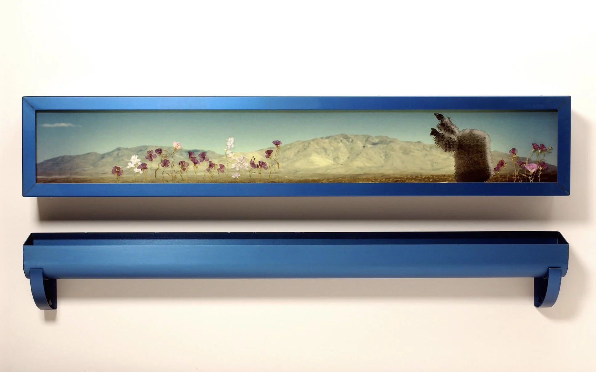 Pinto Canyon Road # 2 | 22" x 60" x 11" | duratrans print, anodized aluminum, Plexiglas, bronze, water, dried pressed flowers