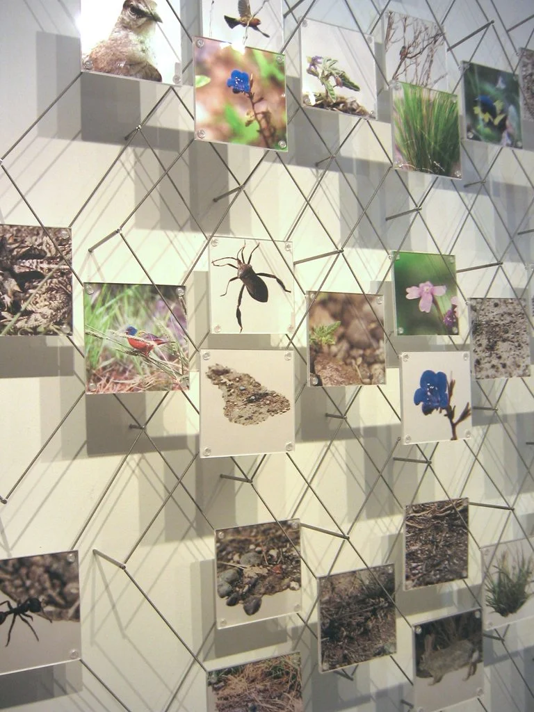 View from The Mayor's Office (detail)