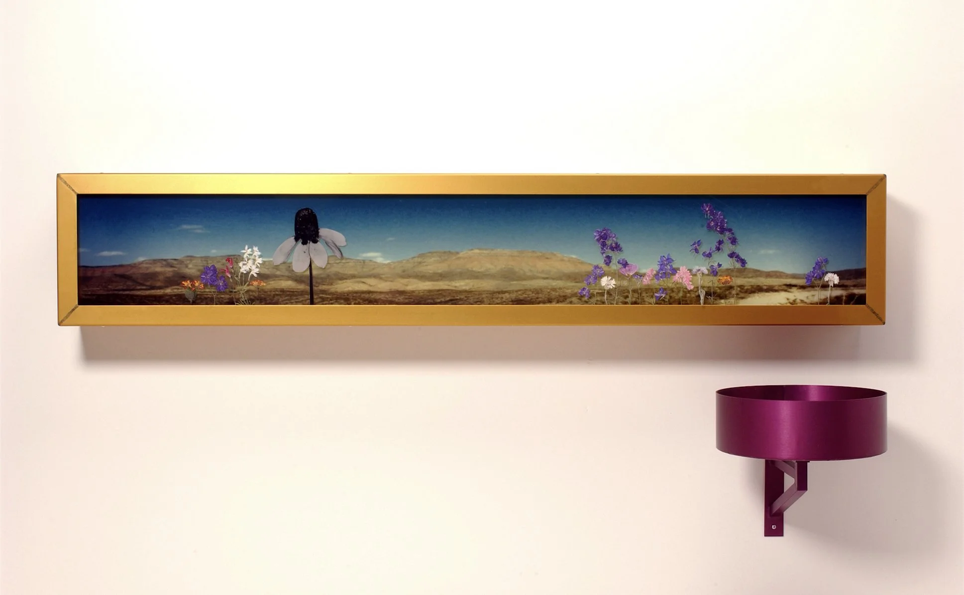 Pinto Canyon Road #3 | 22" x 60" x11" | duratrans print, anodized aluminum, Plexiglas, bronze, water, dried pressed flowers