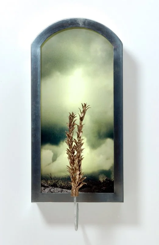 Lila | 32" x 14" x 12" | duratrans print, zinc plated steel, bronze, light, Plexiglas