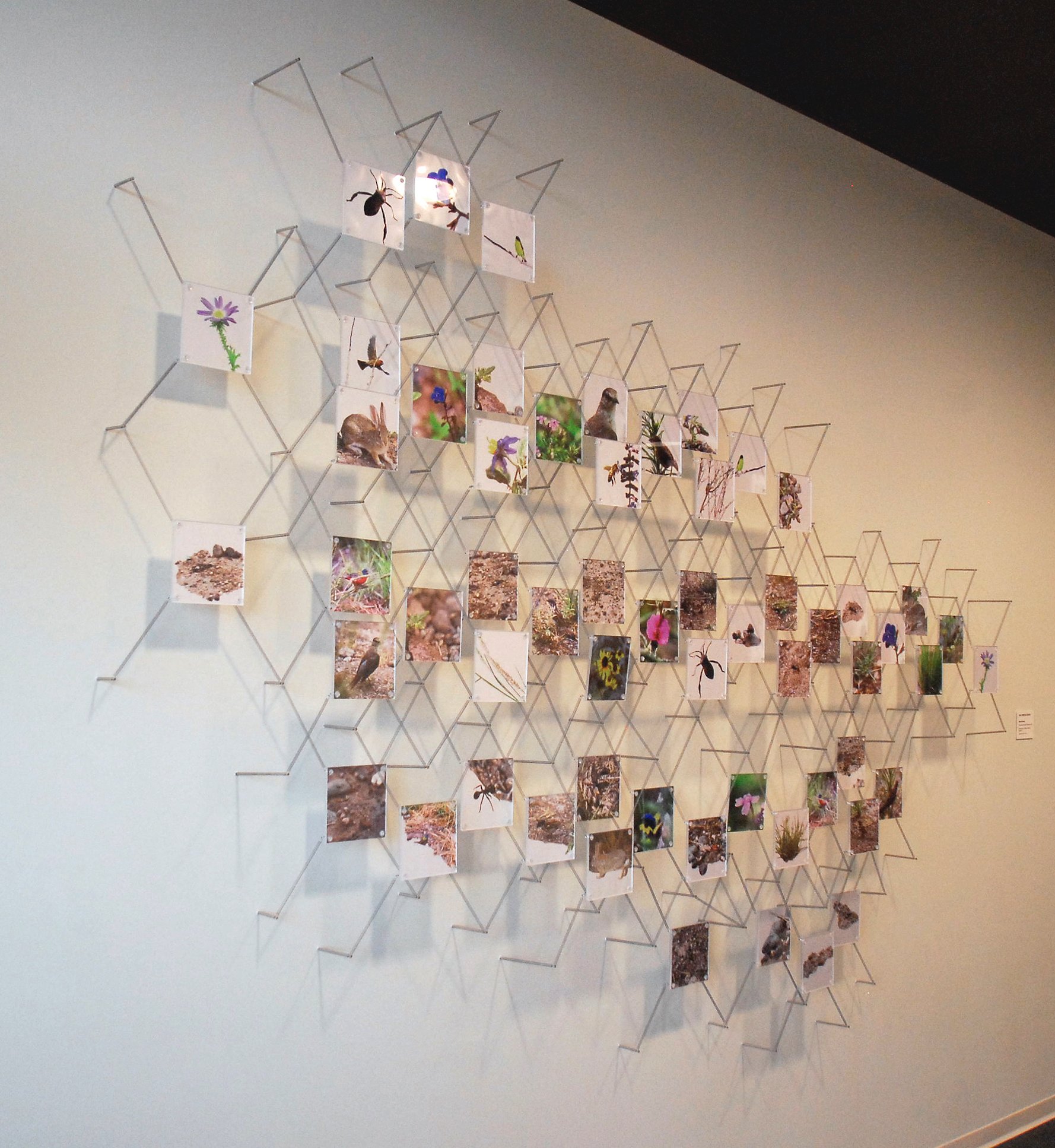 View from the Mayor's Office | 18' x 8' x 9" | stainless steel, Plexiglas, metallic photographic prints