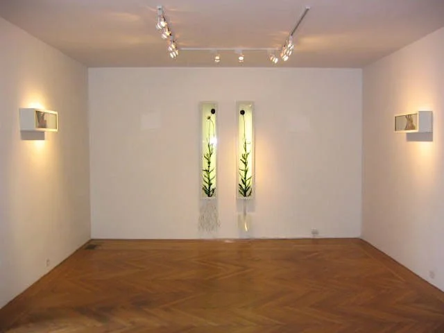 Rudolph Gallery, Houston, TX