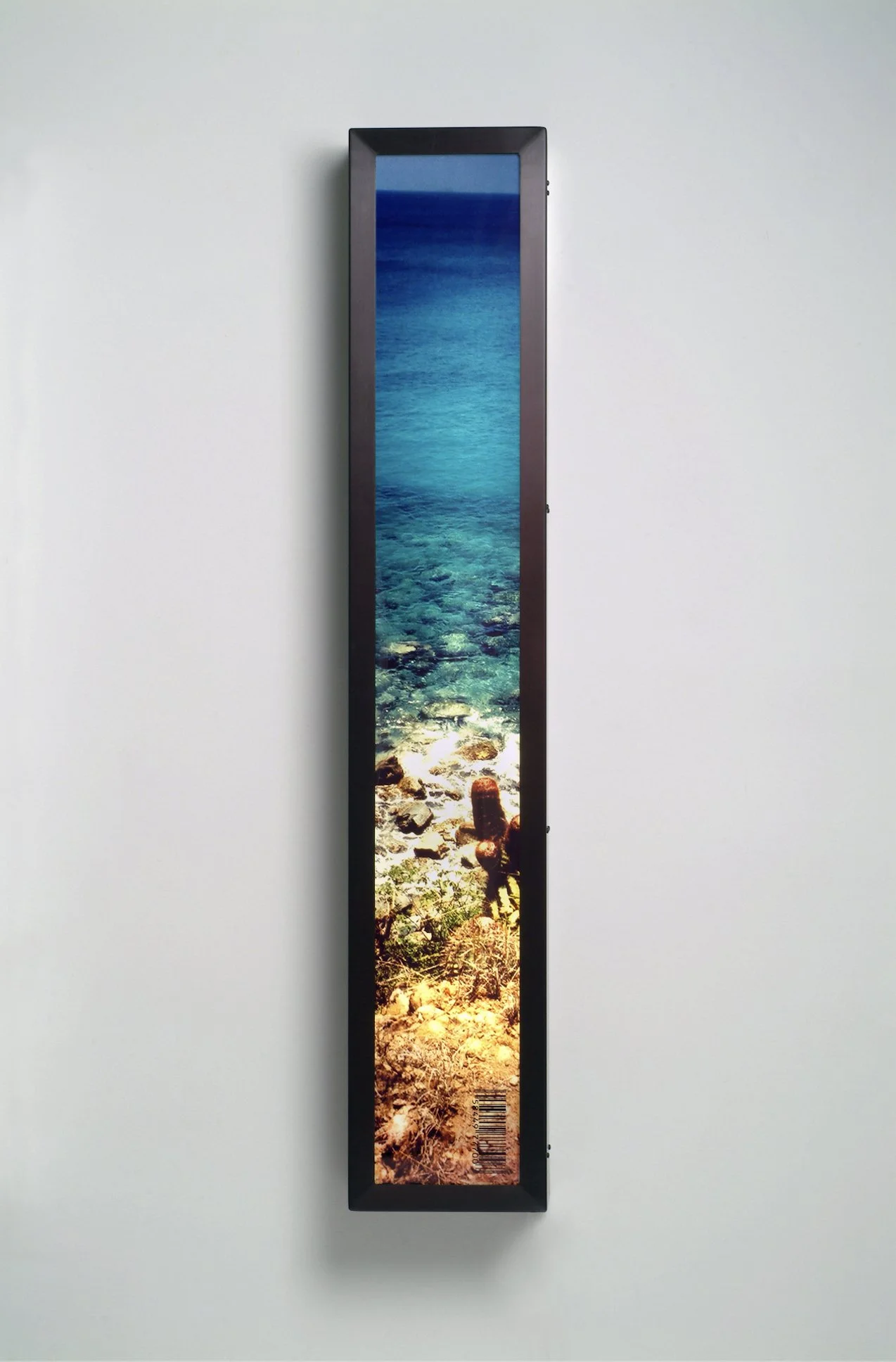 Sea Box #2 | 60" x 11" x 6" | duratrans print, anodized aluminum, light, Plexiglas