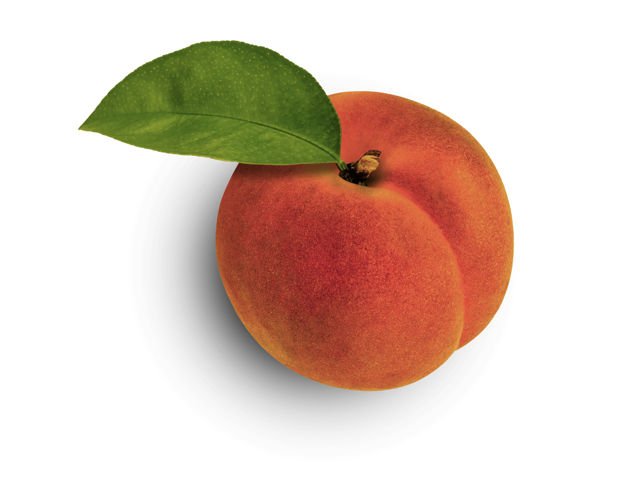 A large, ripe peach with a green leaf