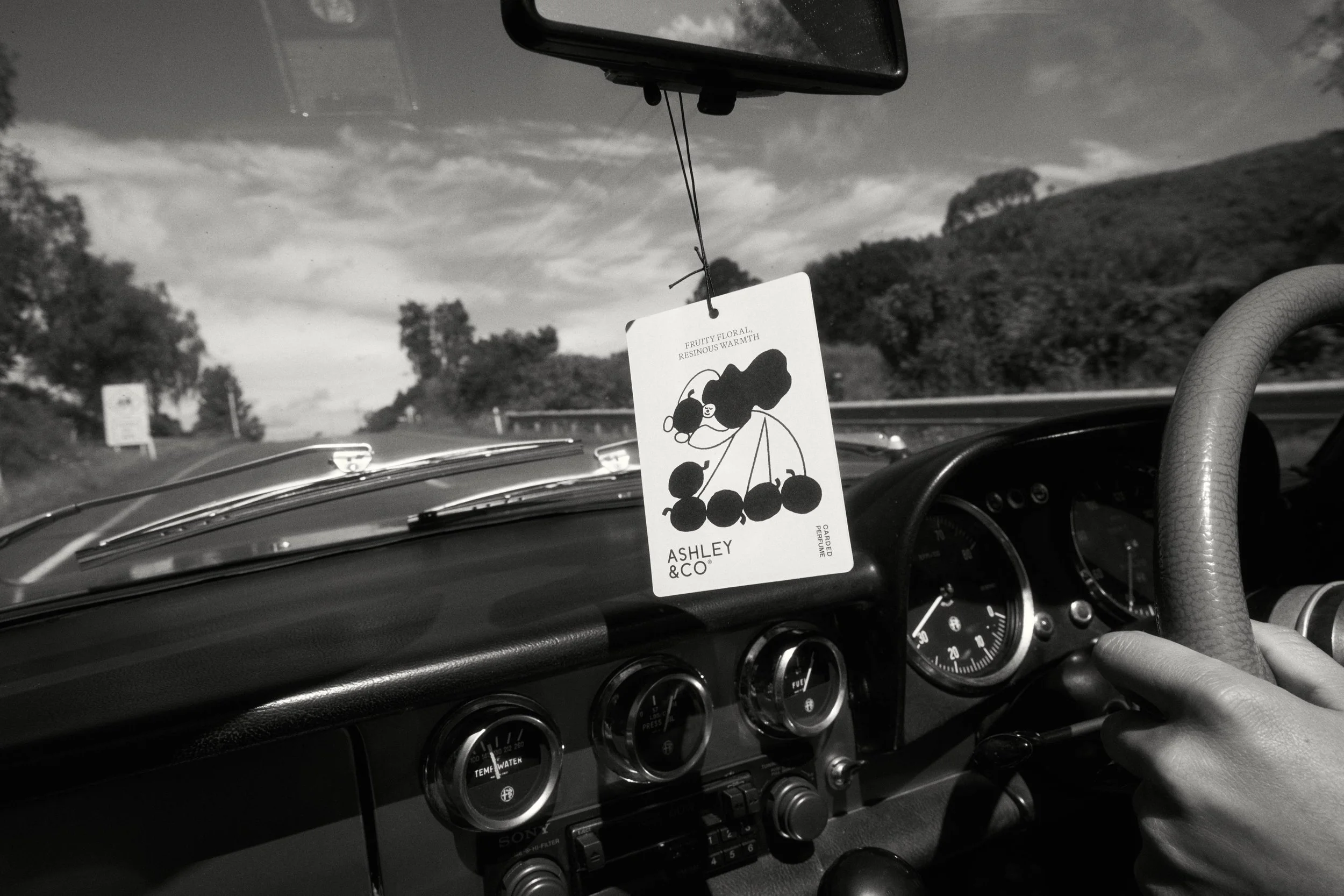 View of the dashboard of a classic car with a hanging air freshener featuring a cartoon illustration of cherries and text, while the driver holds the steering wheel. The scene shows a road with trees and a cloudy sky in the background.