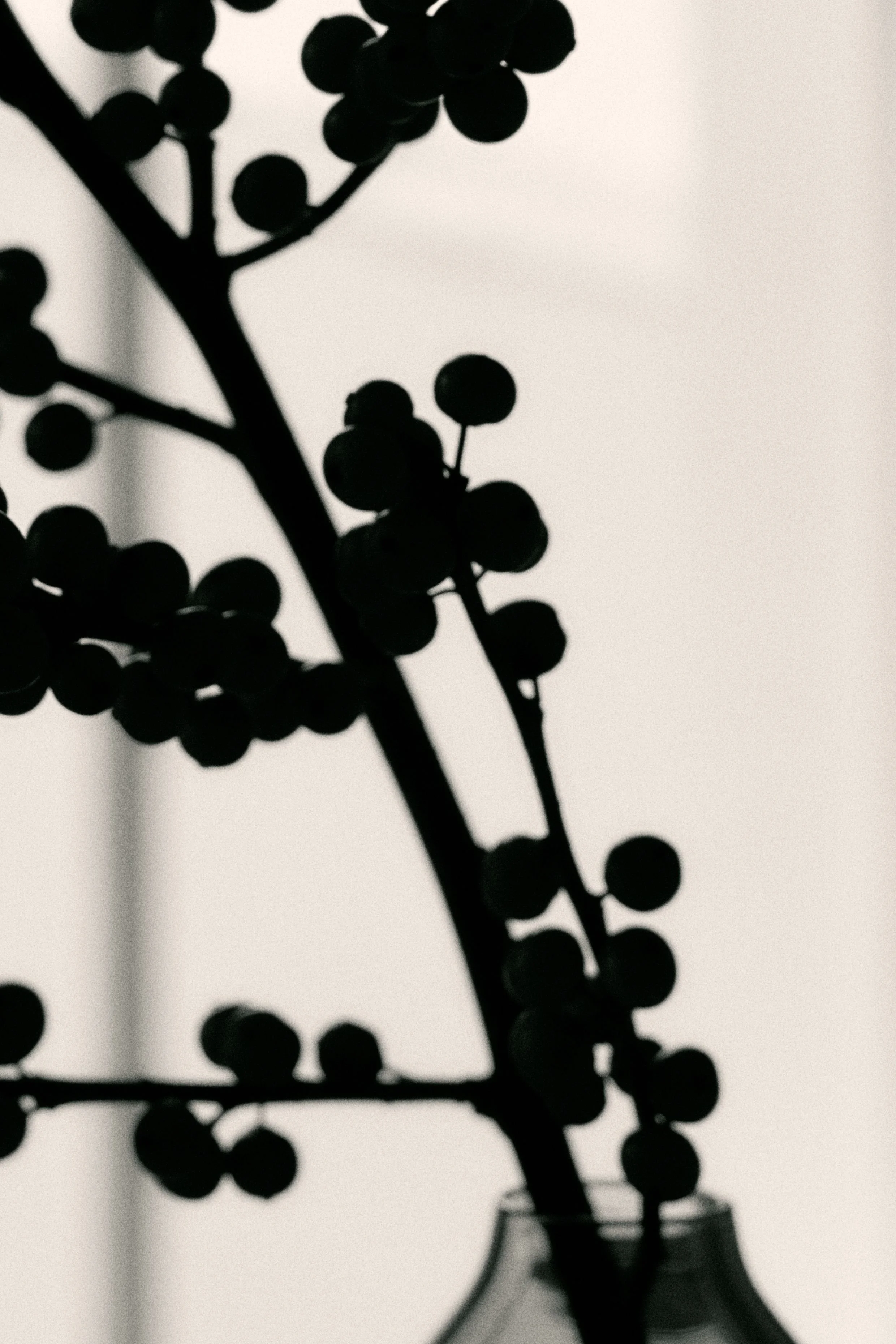 Silhouetted branches with small round berries in a vase against a light background.