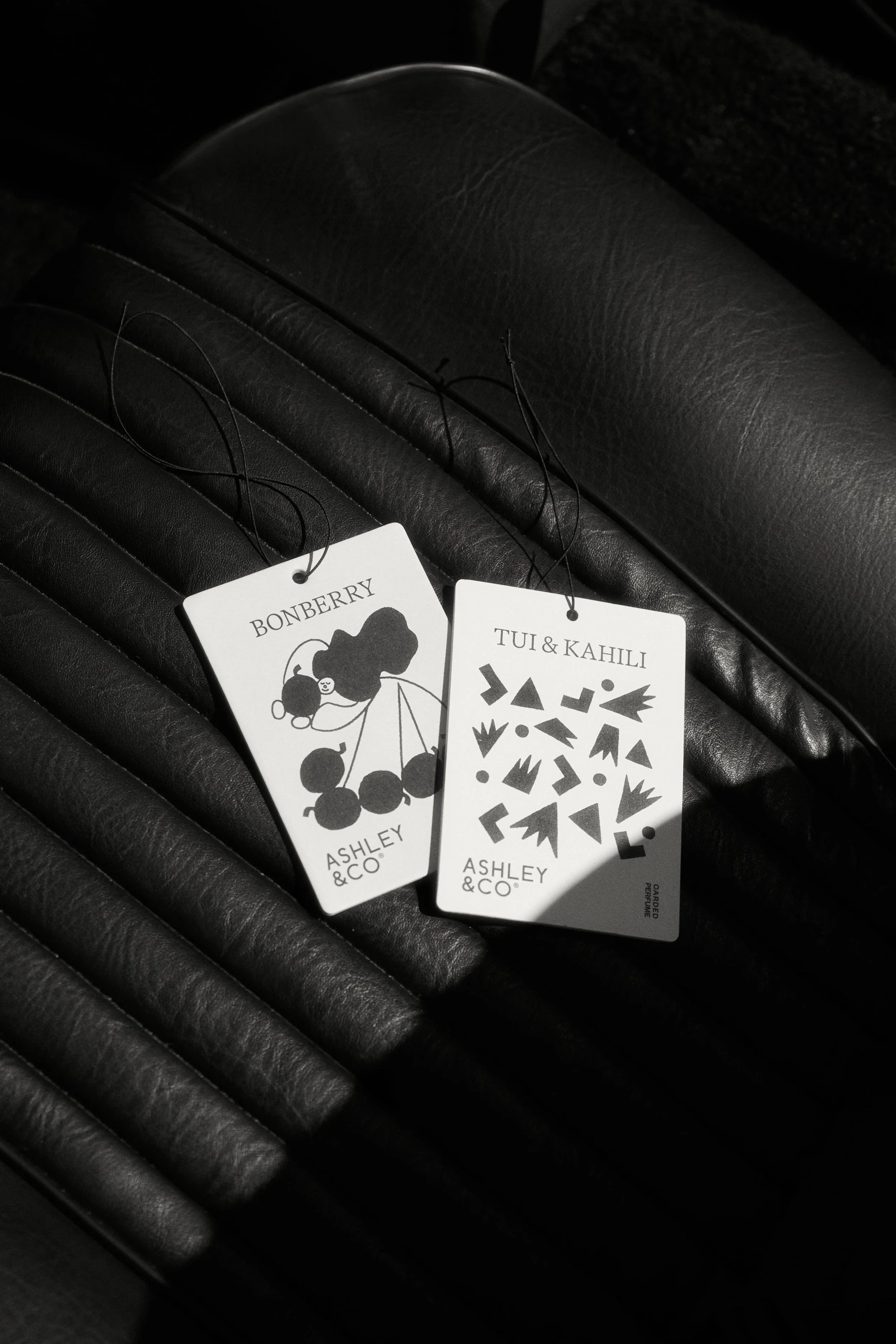 katie-begbie-ashley-and-co-aesthetic-product-images.jpg