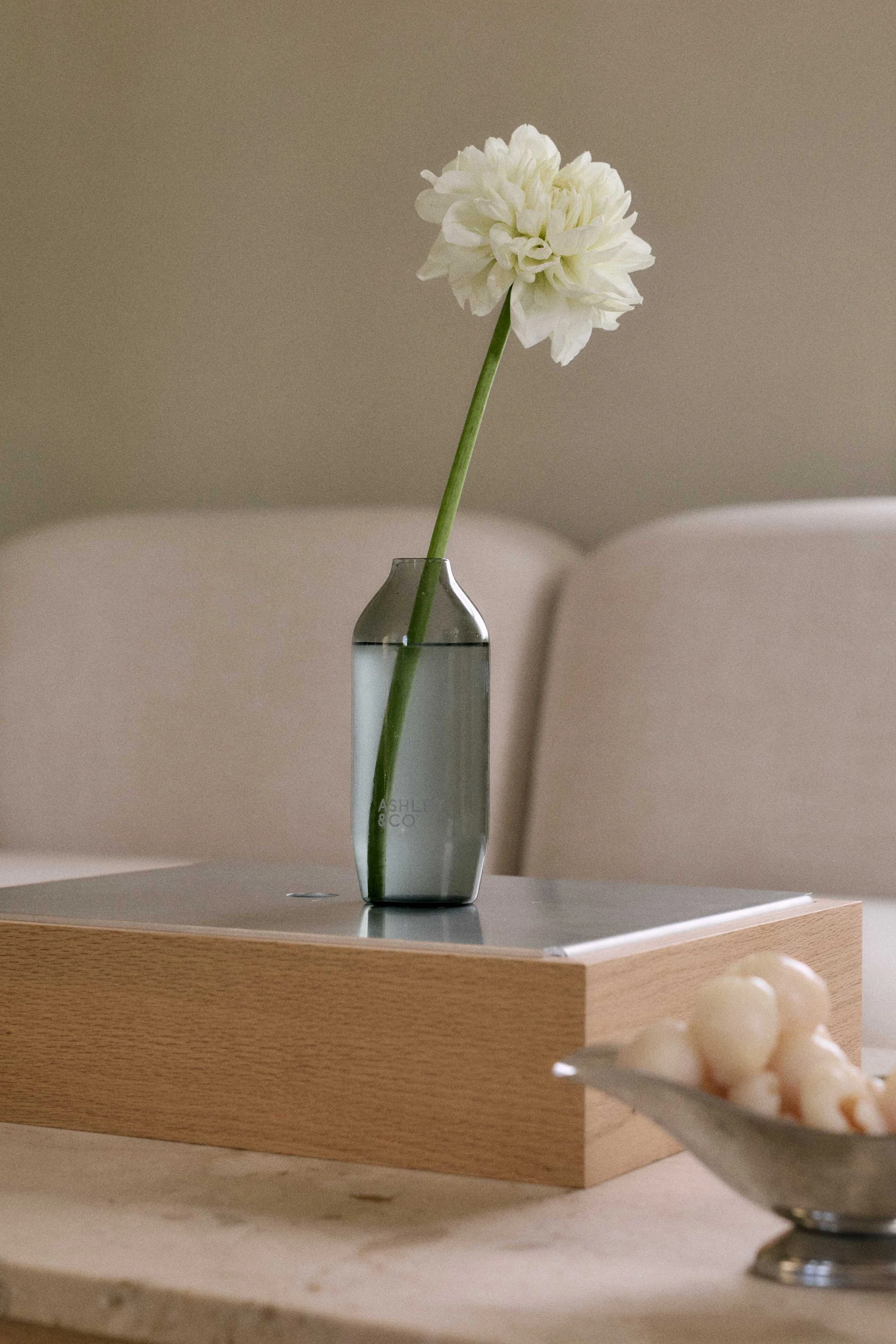 katie-begbie-ashley-and-co-contemporary-product-photography.jpg