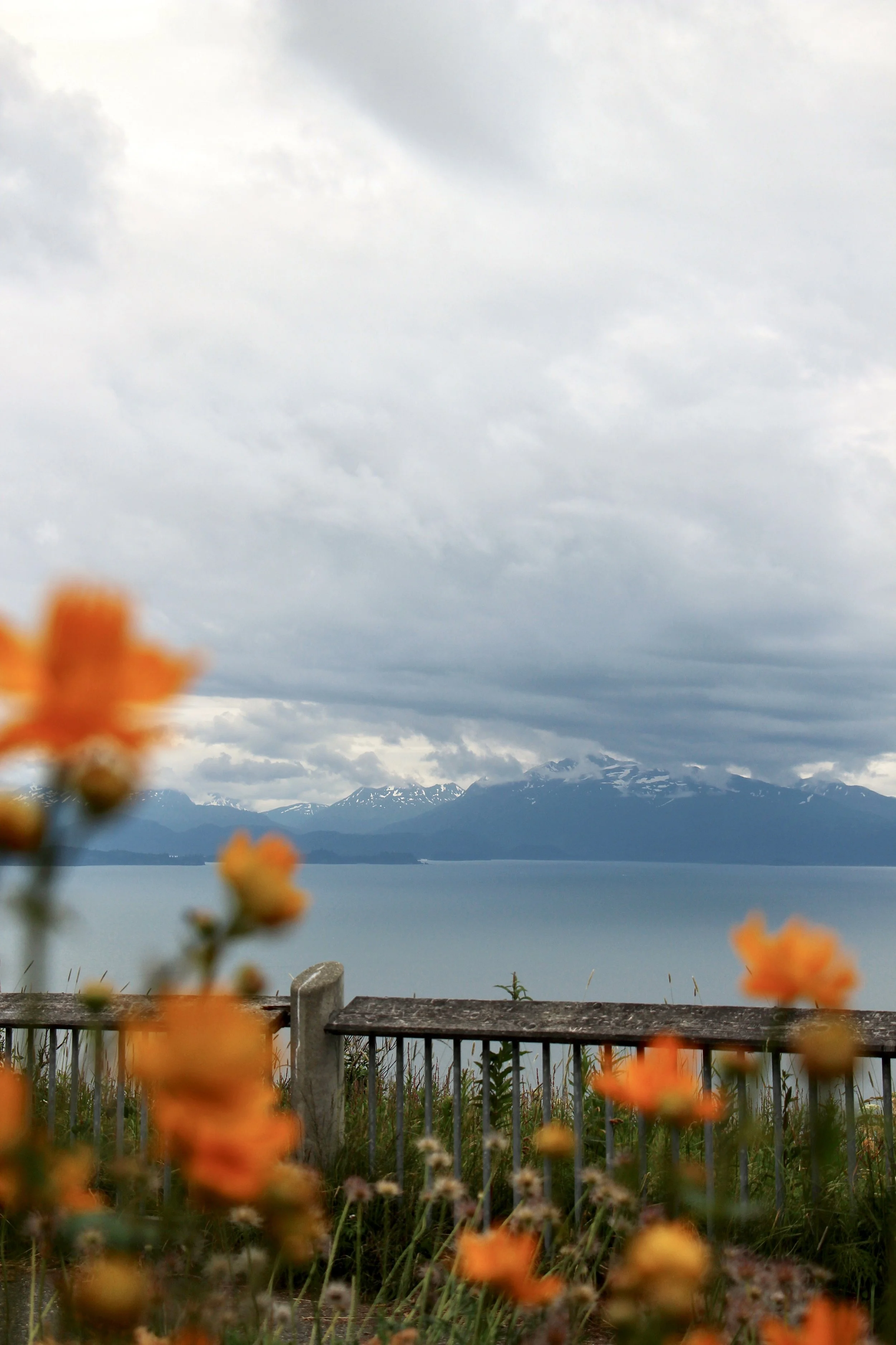 Miscellaneous #1.jpg