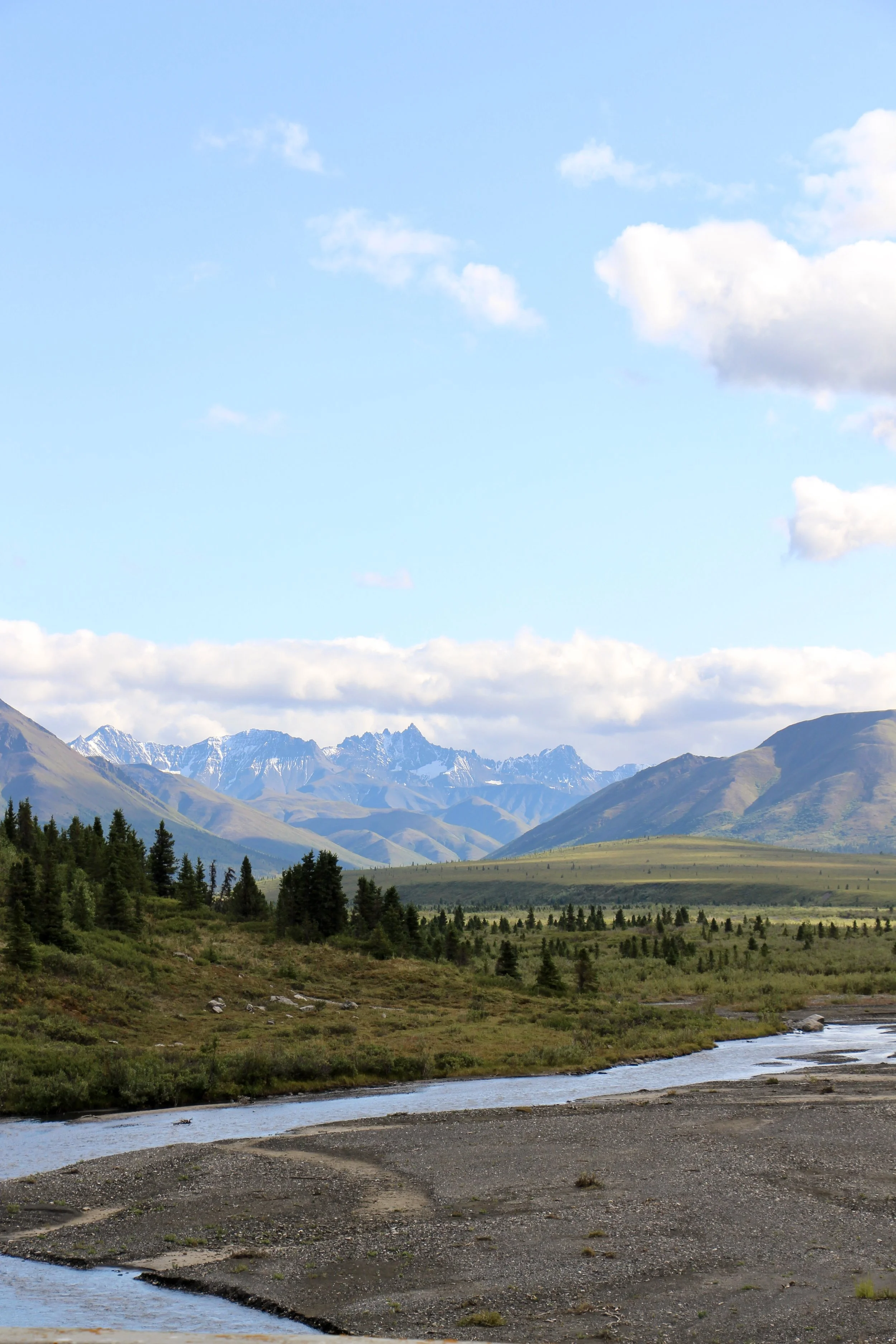 Miscellaneous #2.jpg