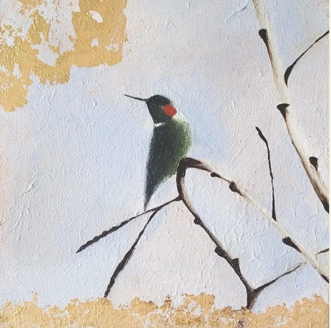 Anna's Hummingbird