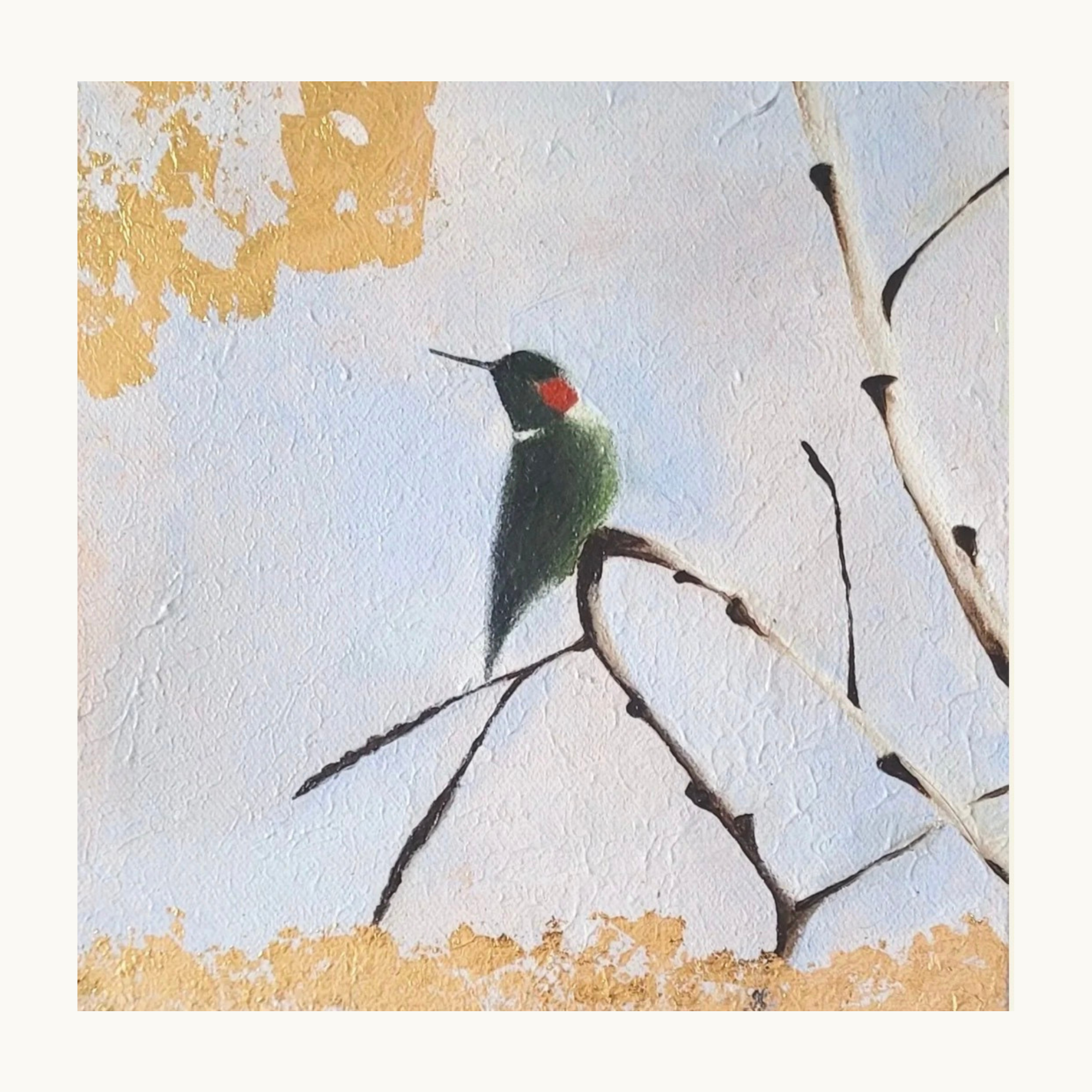 Anna's Hummingbird