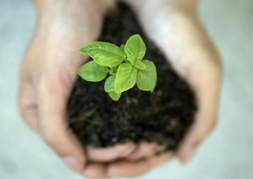 Borrowing In Your SMSF: What is Changing