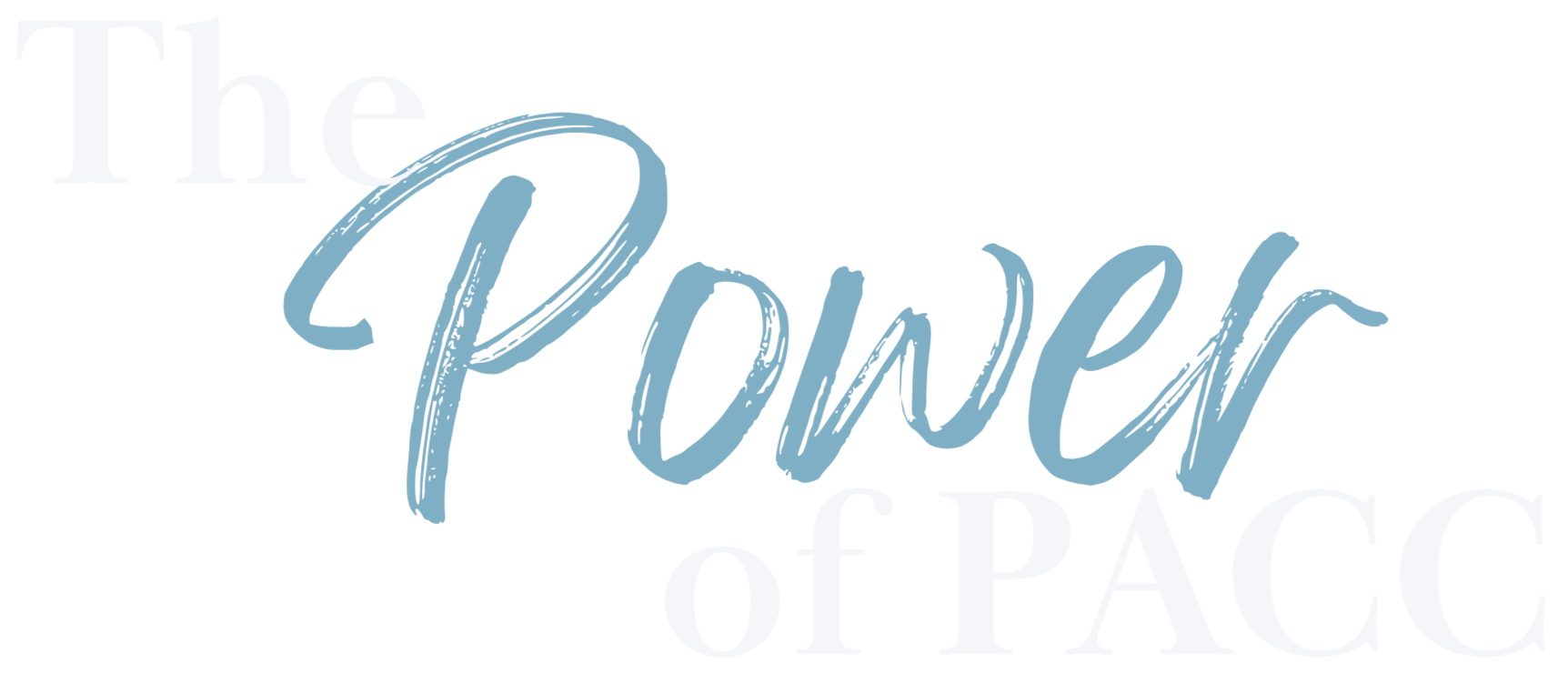 Text reading 'The Power of PAC' with 'The' in white, 'Power' in blue, and 'of PAC' in white on a black background.