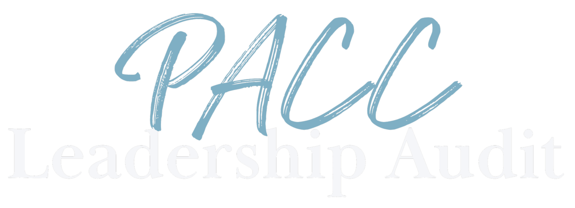Graphic text reading 'PLACE Leadership Audit' on a black background, with 'PLACE' in large, blue, handwritten-style font and 'Leadership Audit' in smaller, white, serif font.