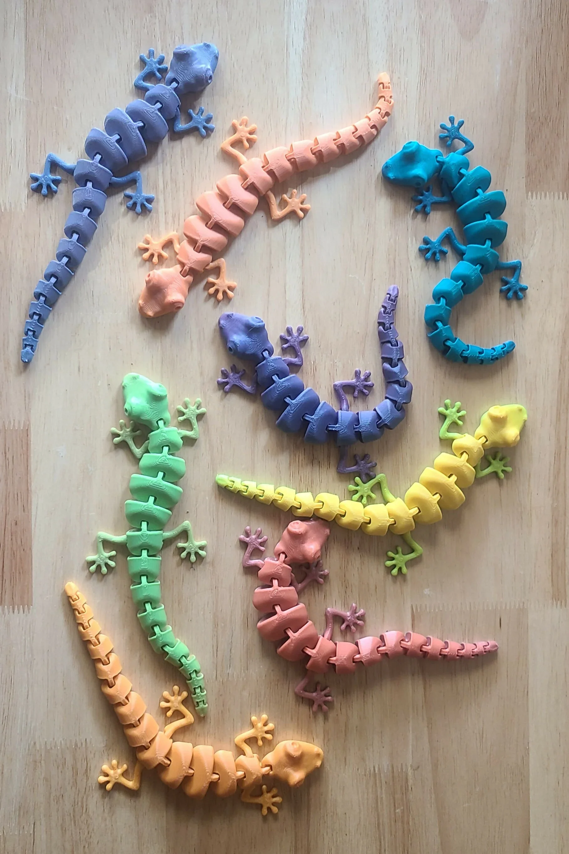 The cute pocket gecko