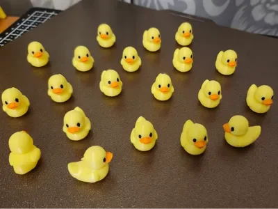 tiny duckies