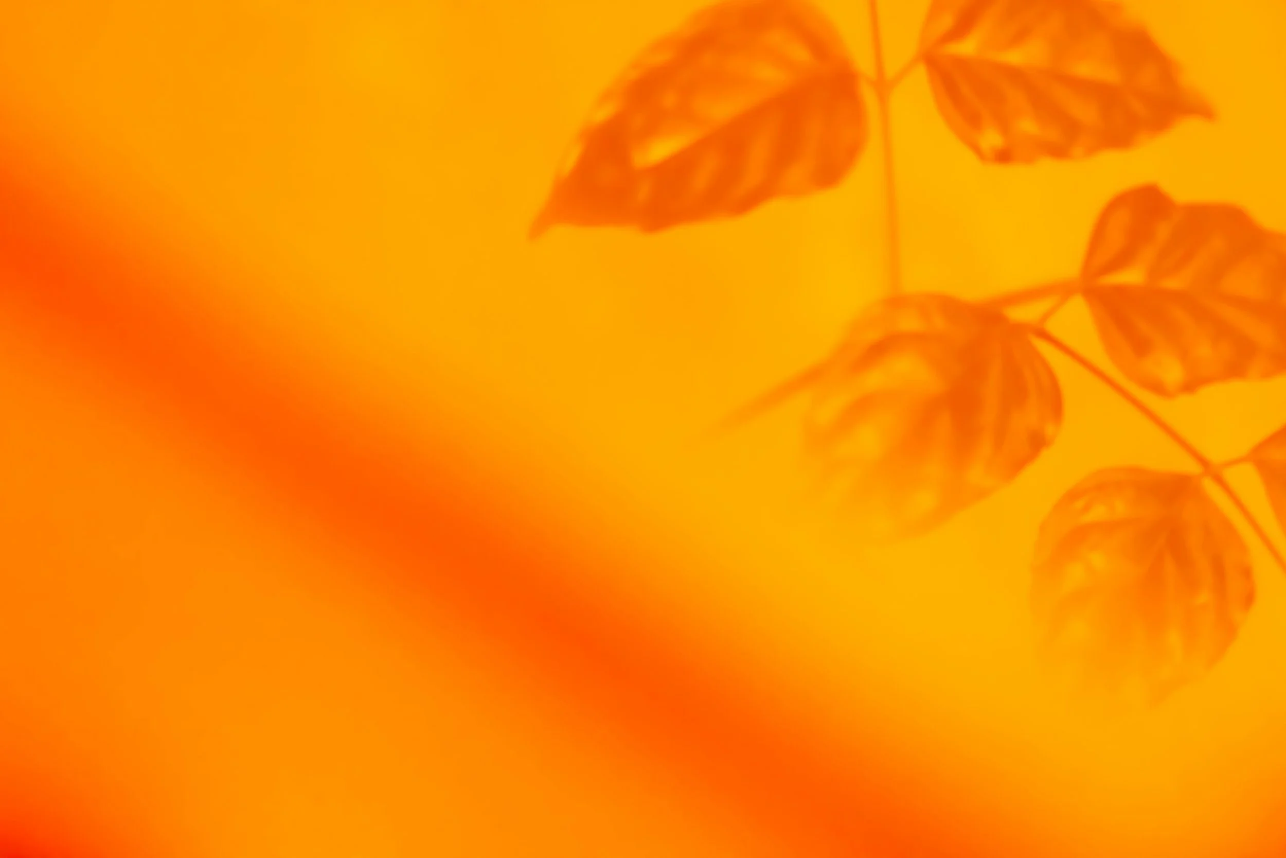 Define the narrative