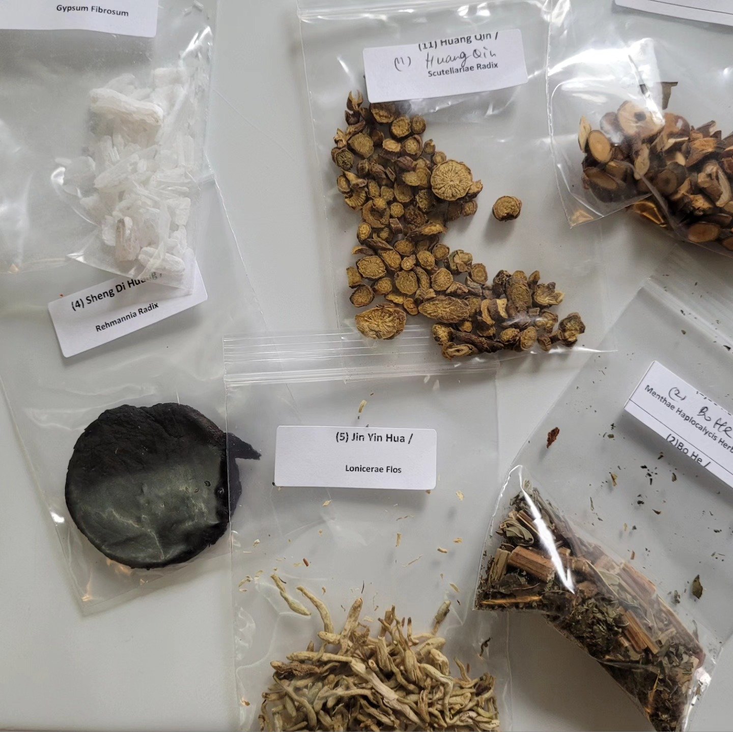 Chinese herb samples