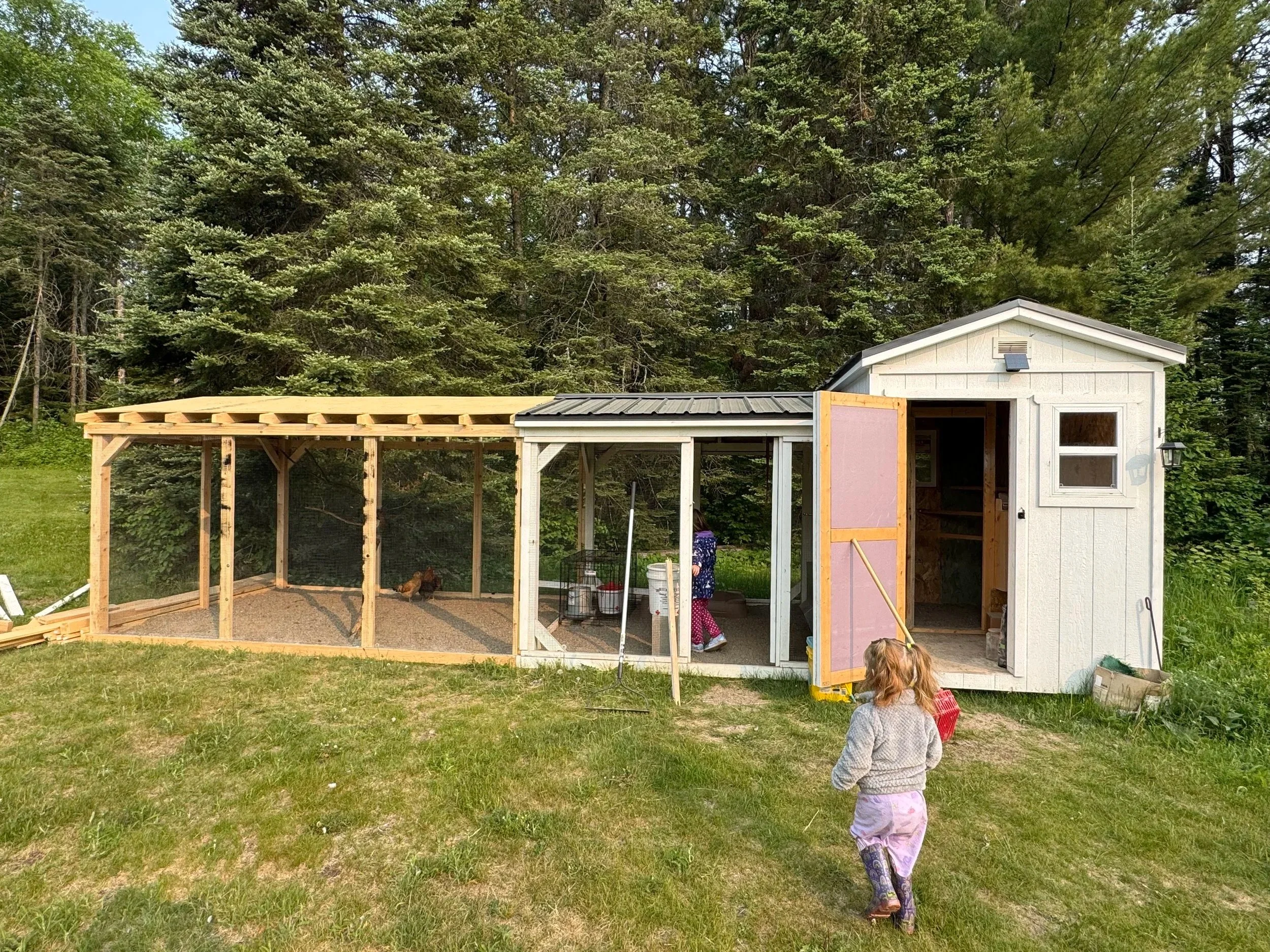 Balsam Handyman Iron Range Chicken Coop