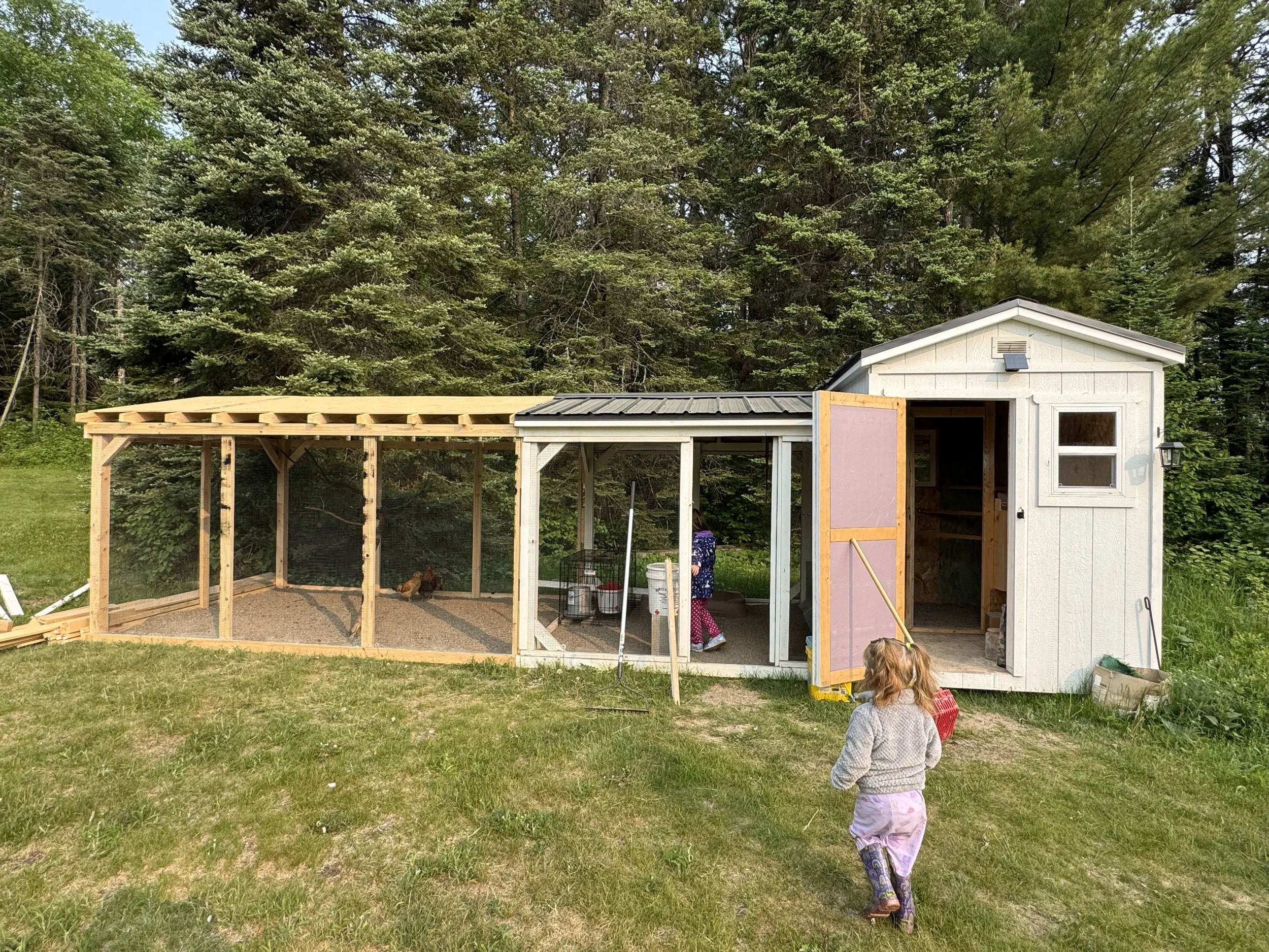 iron range chicken run design mn