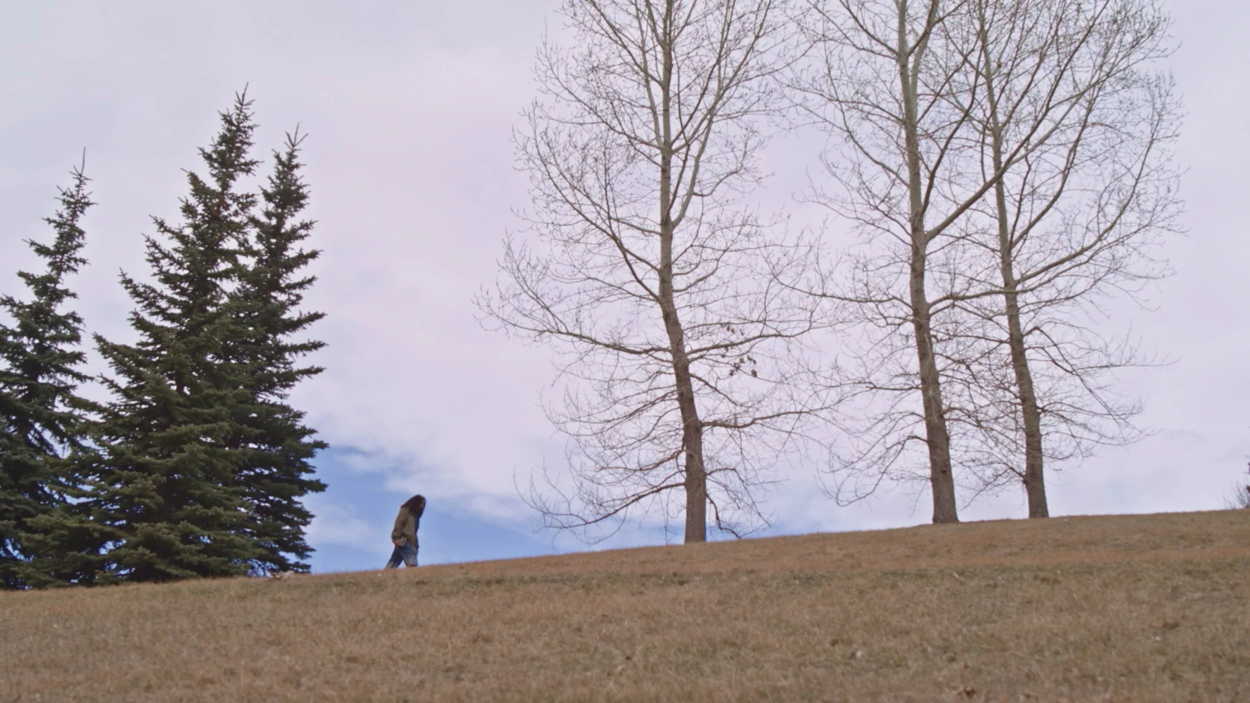 Still 2025-10-10 084533_1.1.1.jpg